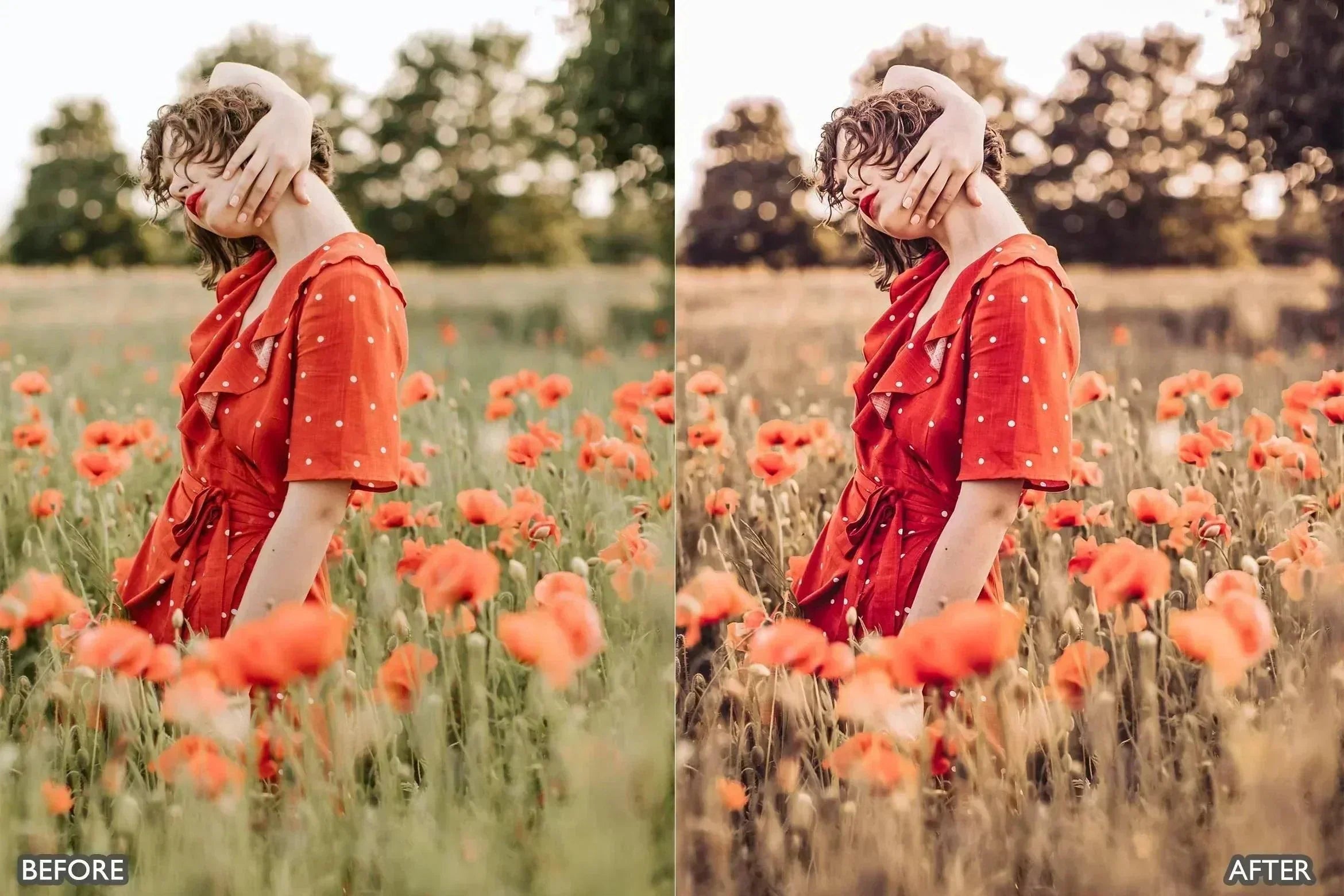 Macchiato Bright Lightroom Presets - Lightroom Presets - by AAA Presets