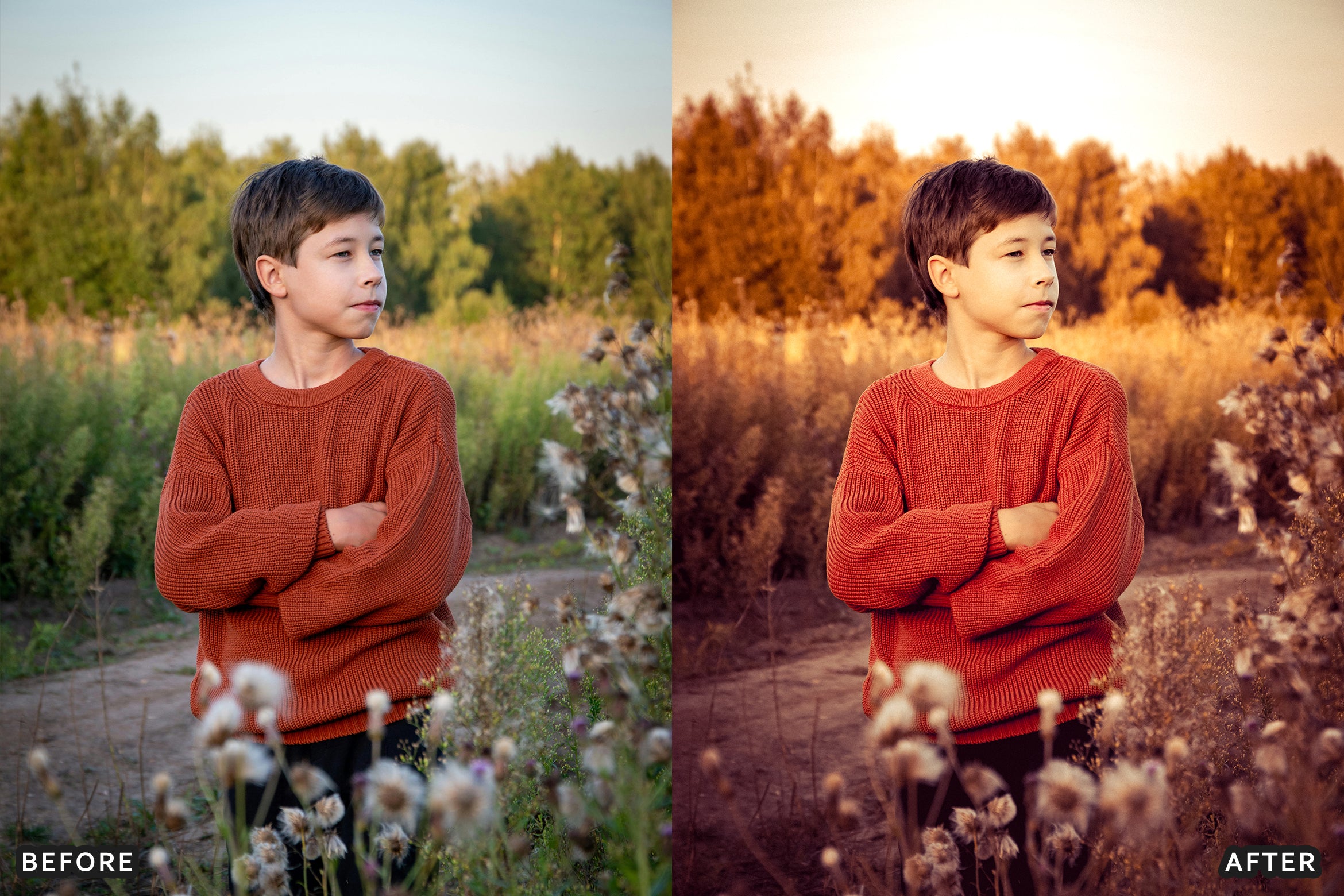 AI-Optimized Matte Autumn Film Lightroom Presets - Lightroom Presets - by AAA Presets