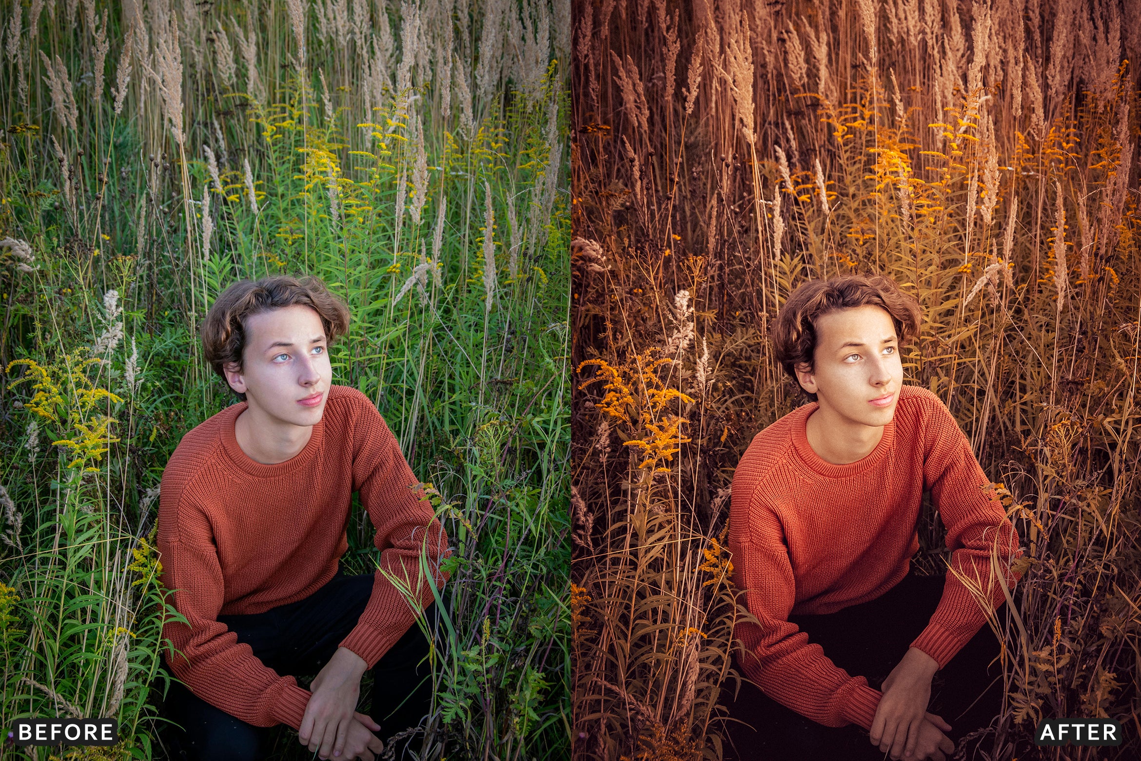 AI-Optimized Matte Autumn Film Lightroom Presets - Lightroom Presets - by AAA Presets