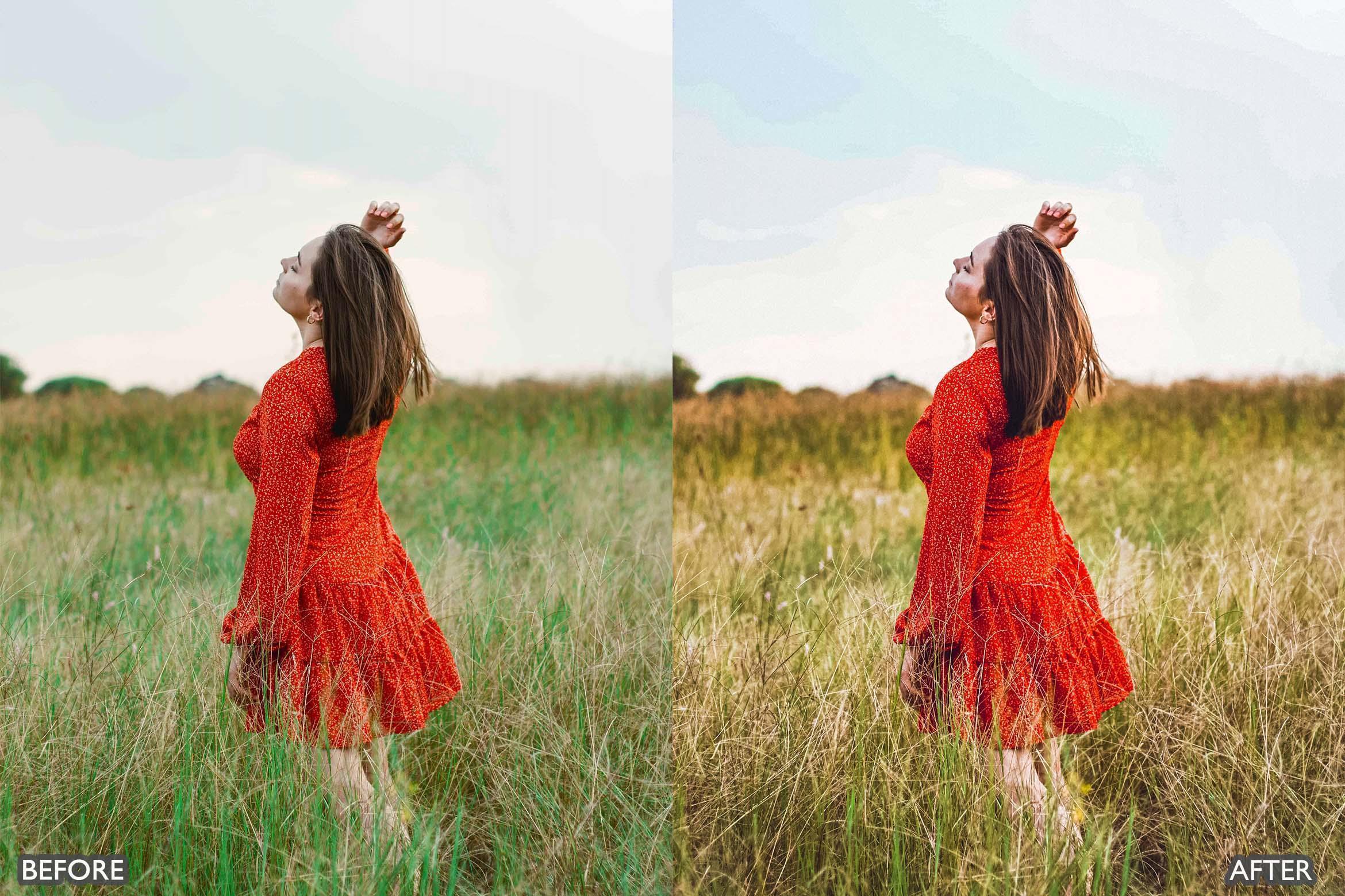 Minimal Brown Lightroom Presets - Lightroom Presets - by AAA Presets