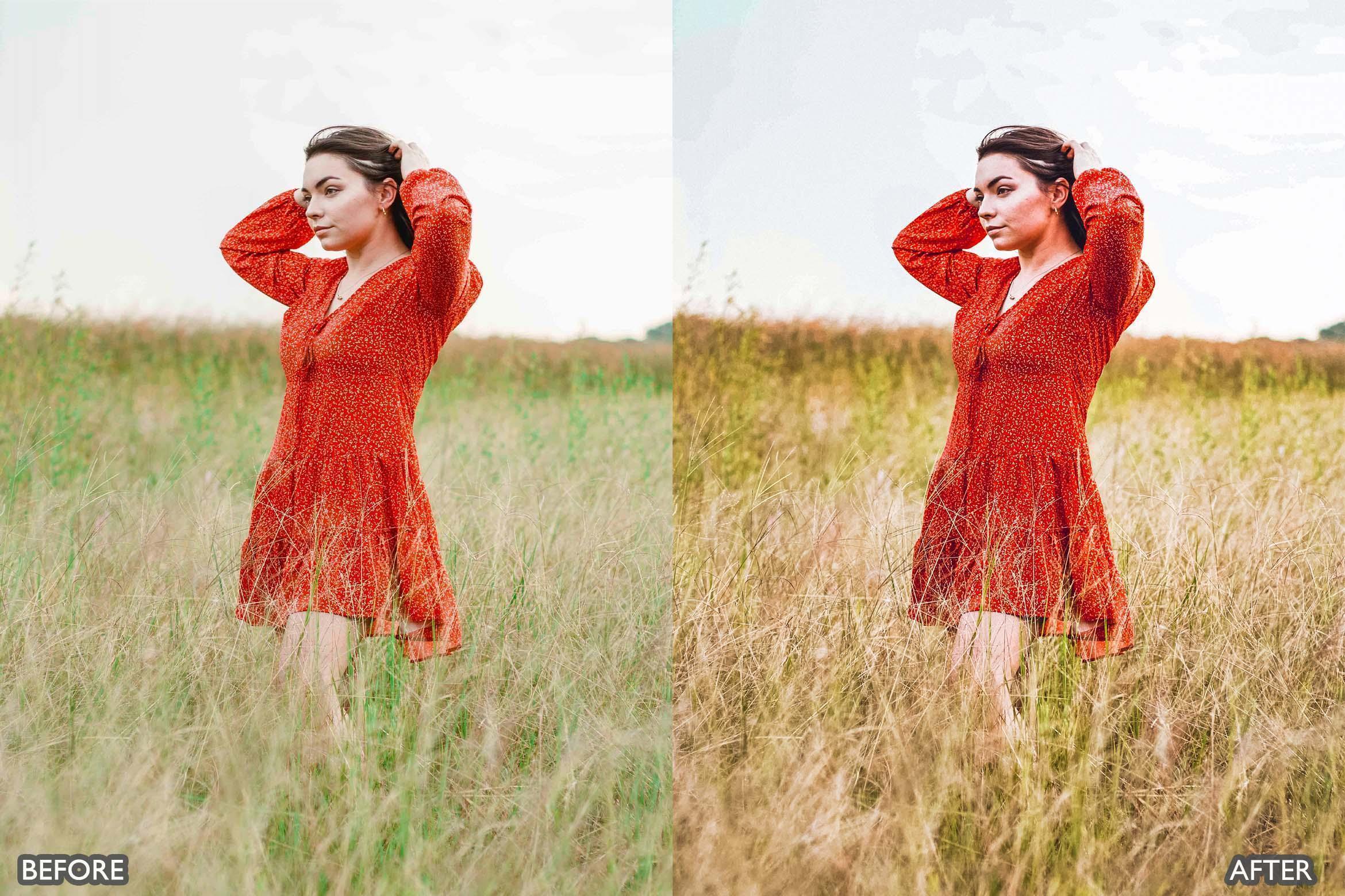 Minimal Brown Lightroom Presets - Lightroom Presets - by AAA Presets
