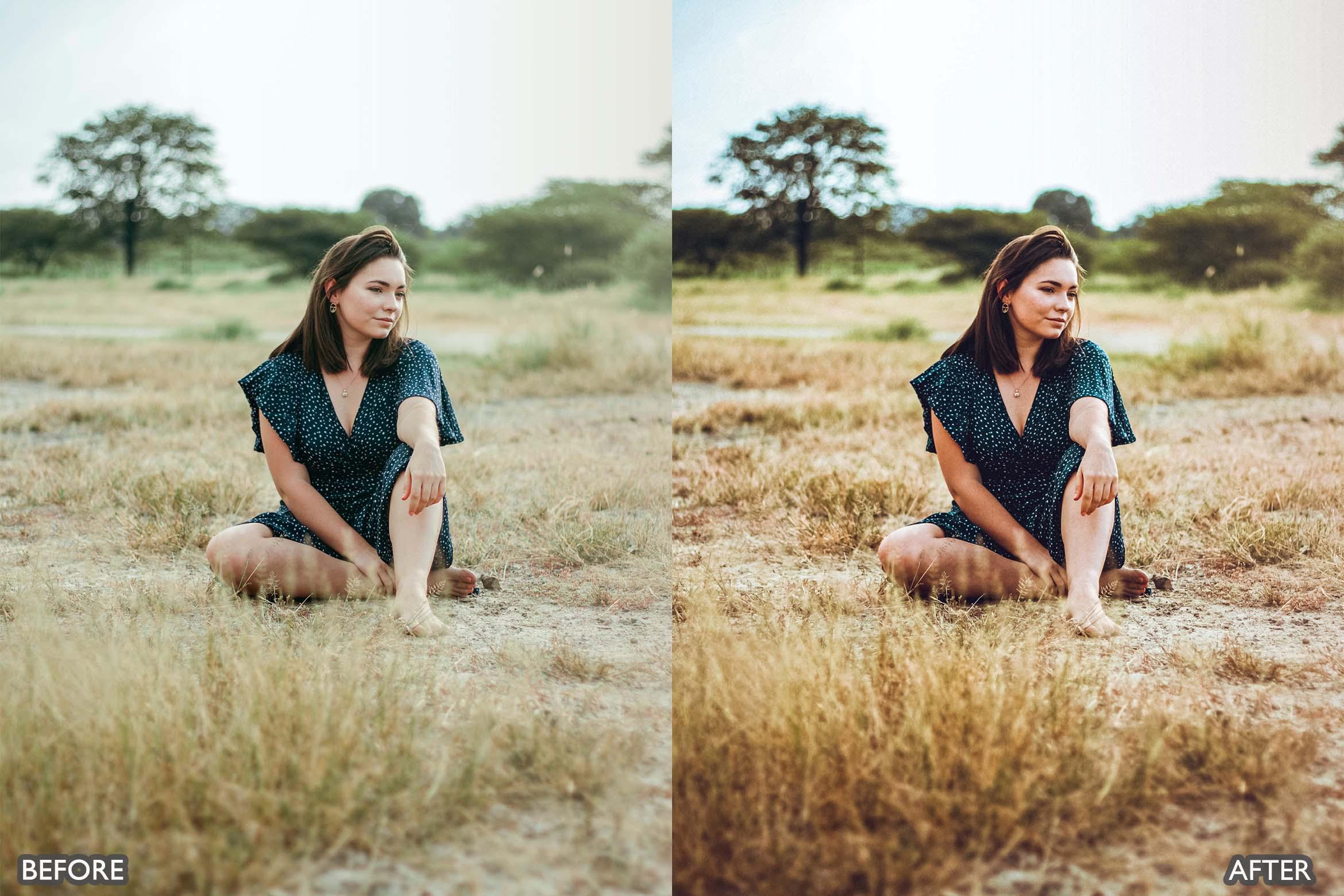 Minimal Brown Lightroom Presets - Lightroom Presets - by AAA Presets