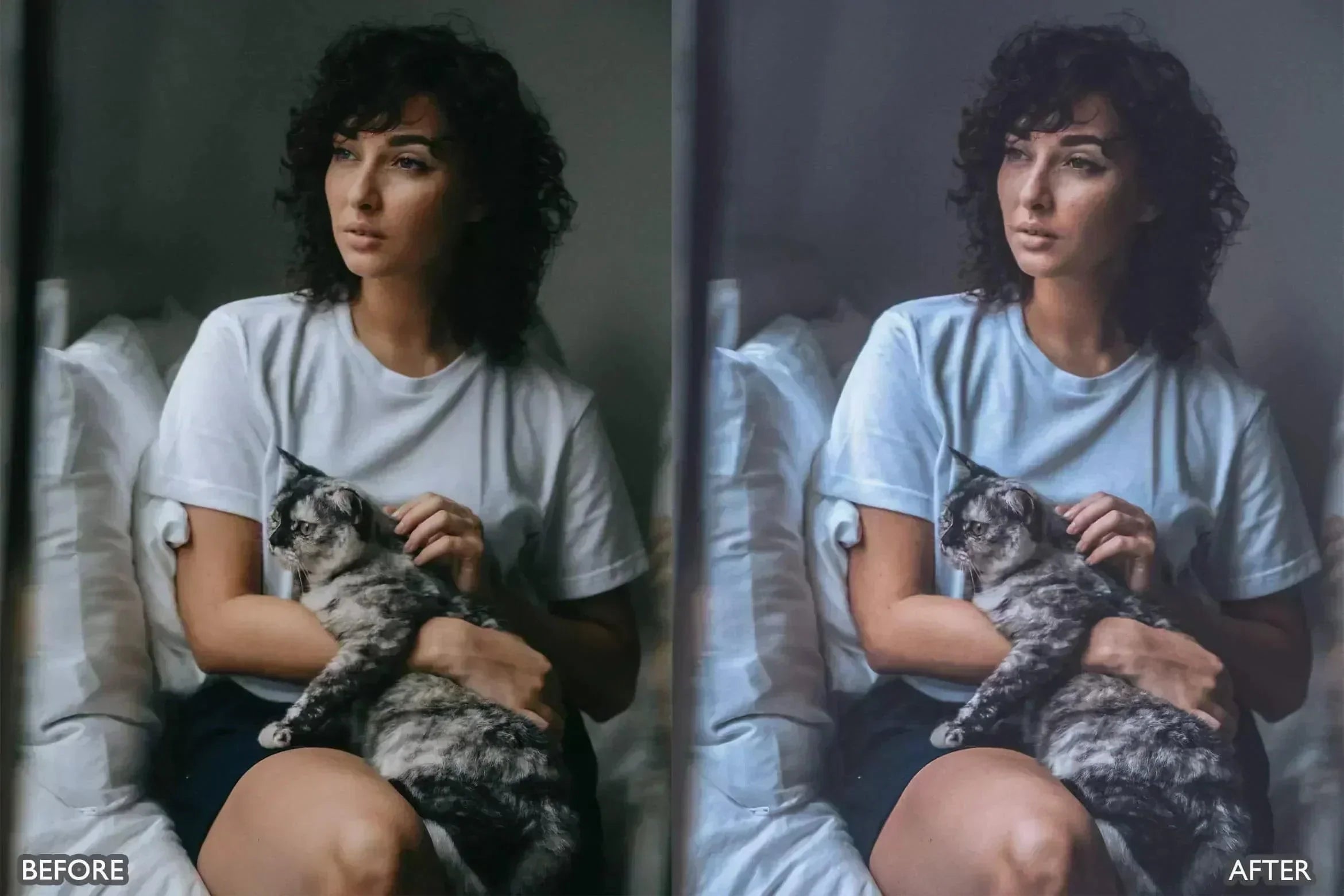 Minimal Presets For Lightroom - Lightroom Presets - by AAA Presets