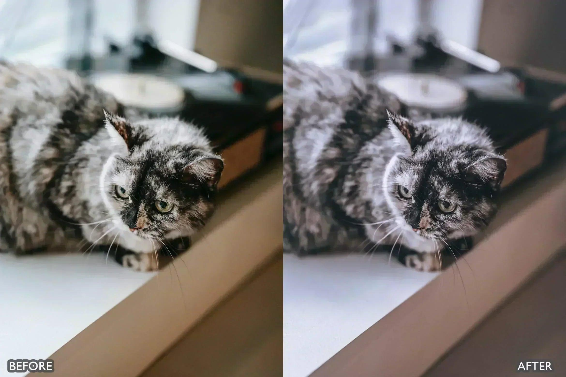 Minimal Presets For Lightroom - Lightroom Presets - by AAA Presets