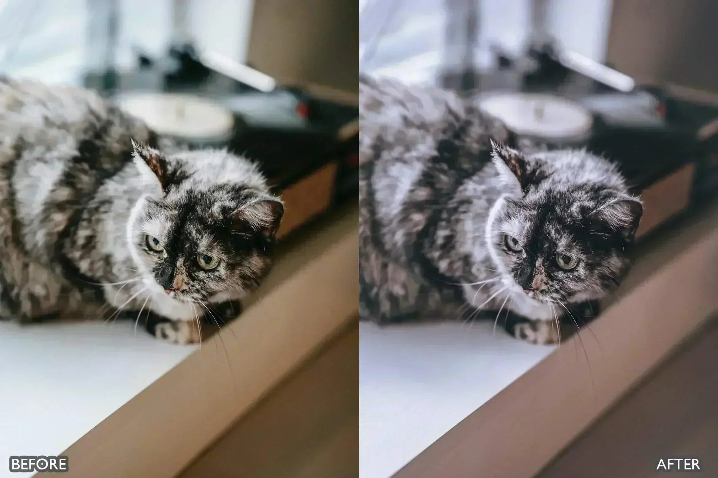 Minimal Presets For Lightroom - Lightroom Presets - by AAA Presets