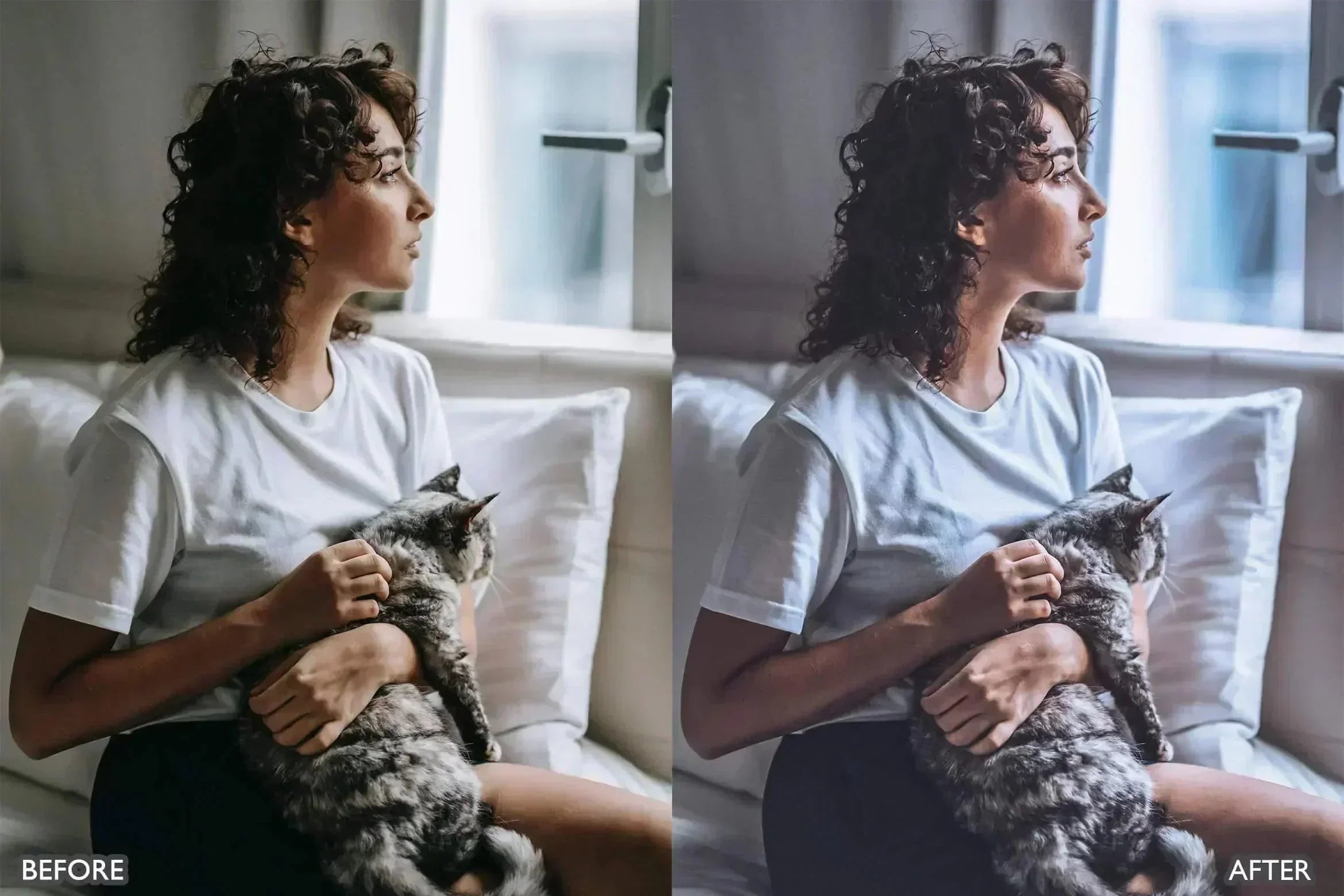 Minimal Presets For Lightroom - Lightroom Presets - by AAA Presets