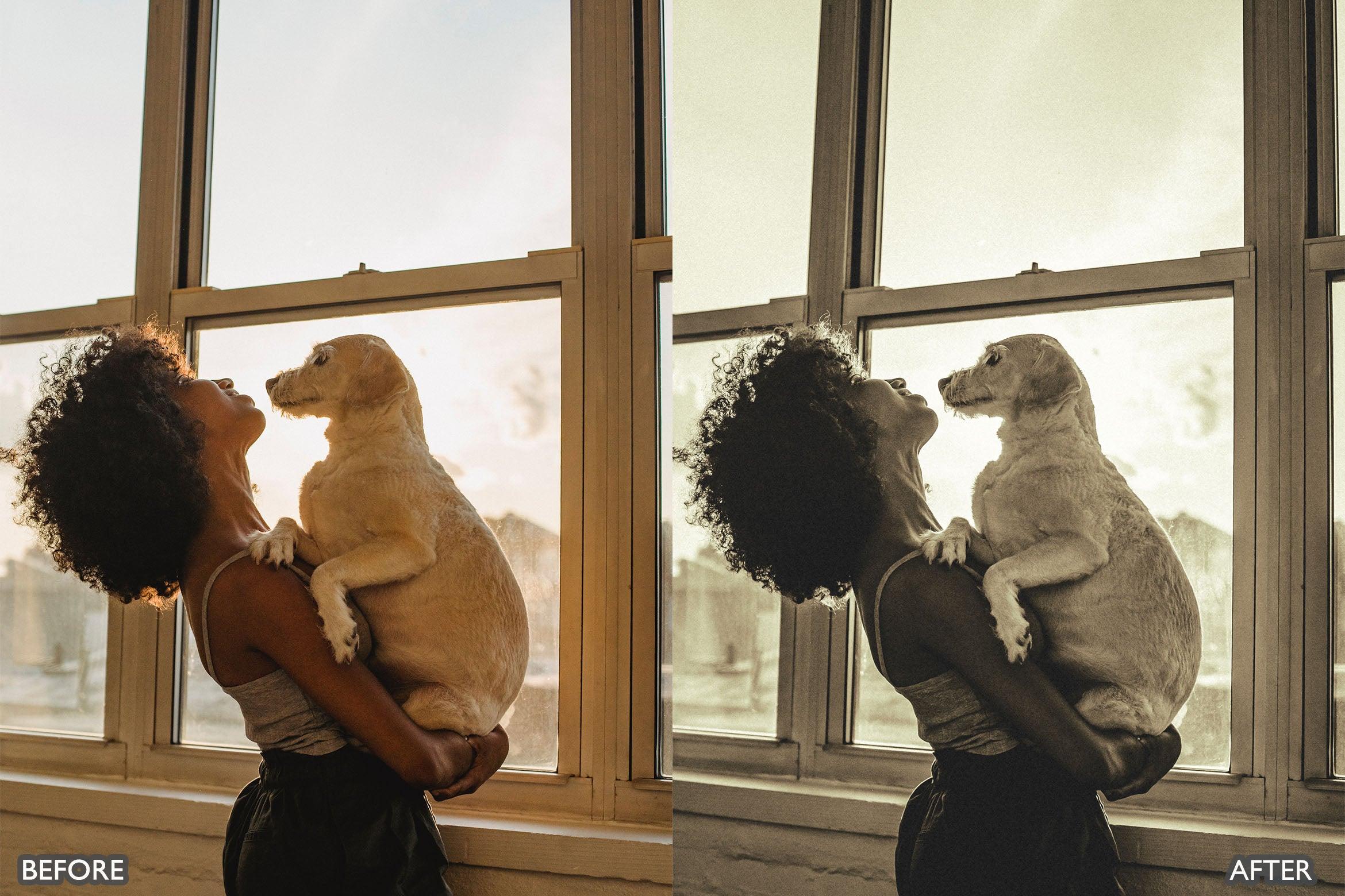 Monochrome Portrait Lightroom Presets - Lightroom Presets - by AAA Presets