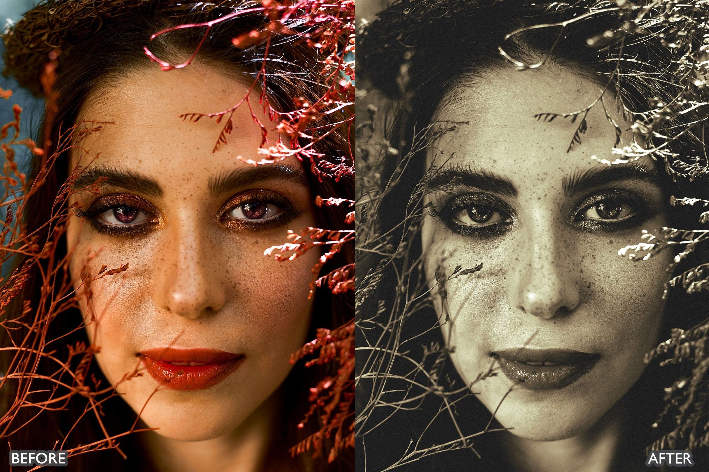 Monochrome Portrait Lightroom Presets - Lightroom Presets - by AAA Presets