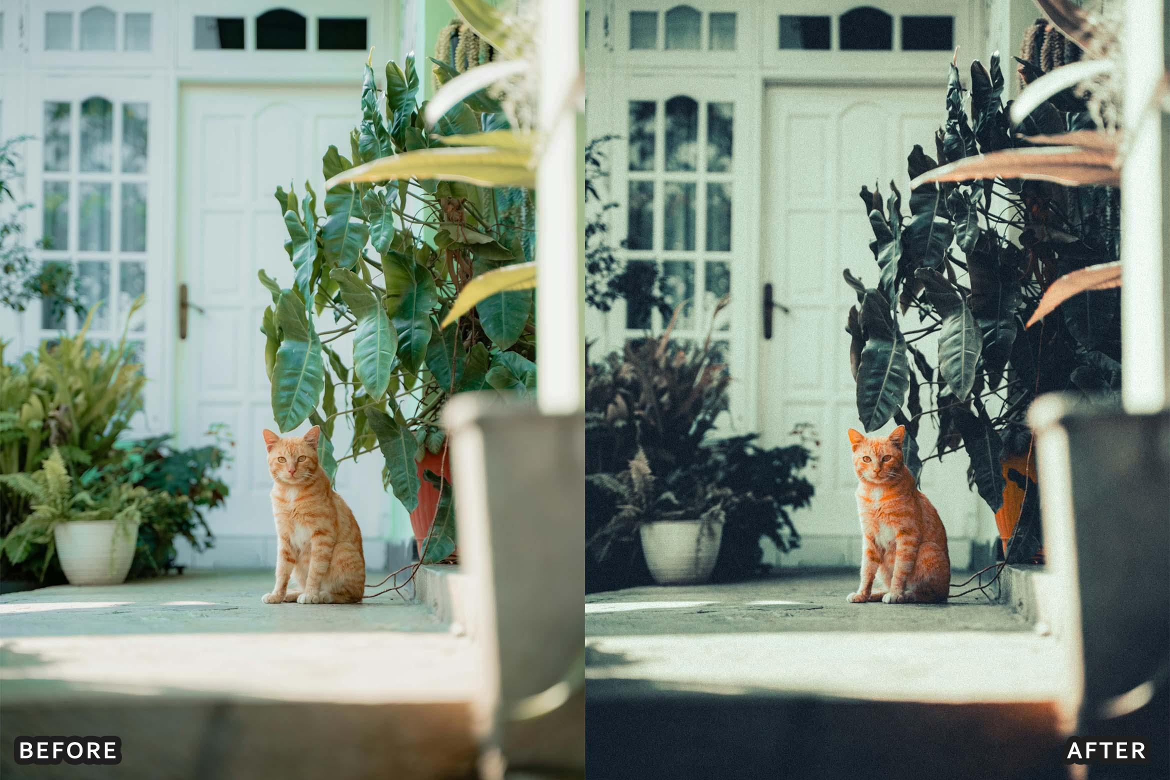 Moody Black Tones Lightroom Presets - Lightroom Presets - by AAA Presets