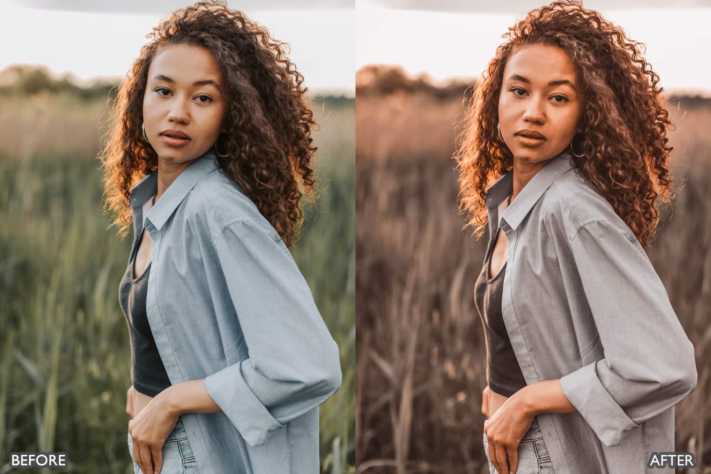 Moody Brown Lightroom Presets - Lightroom Presets - by AAA Presets