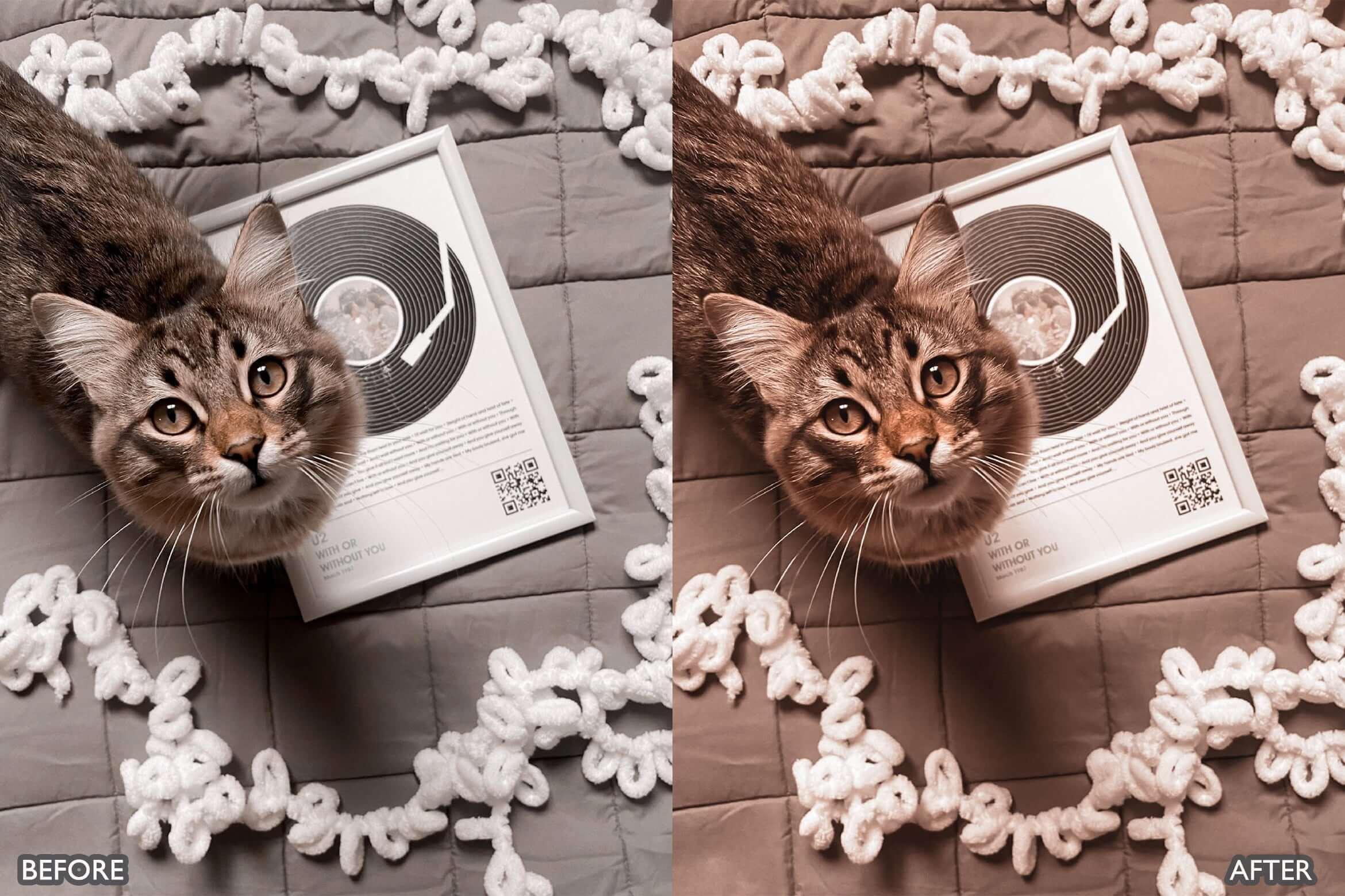 Moody Brown Lightroom Presets - Lightroom Presets - by AAA Presets