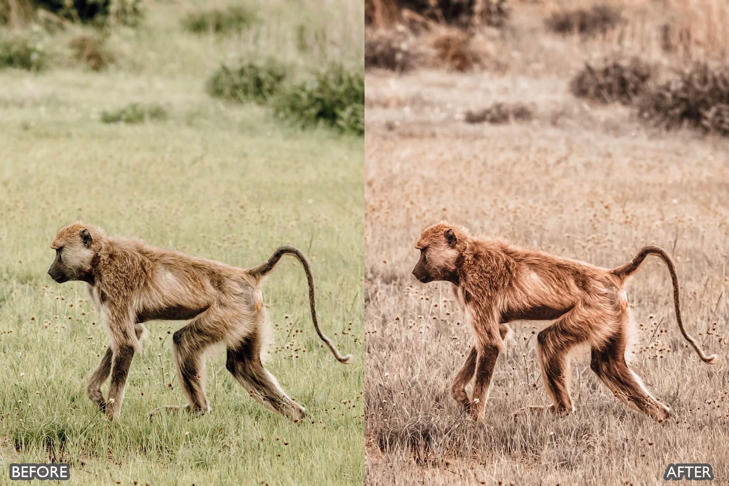 Moody Brown Lightroom Presets - Lightroom Presets - by AAA Presets