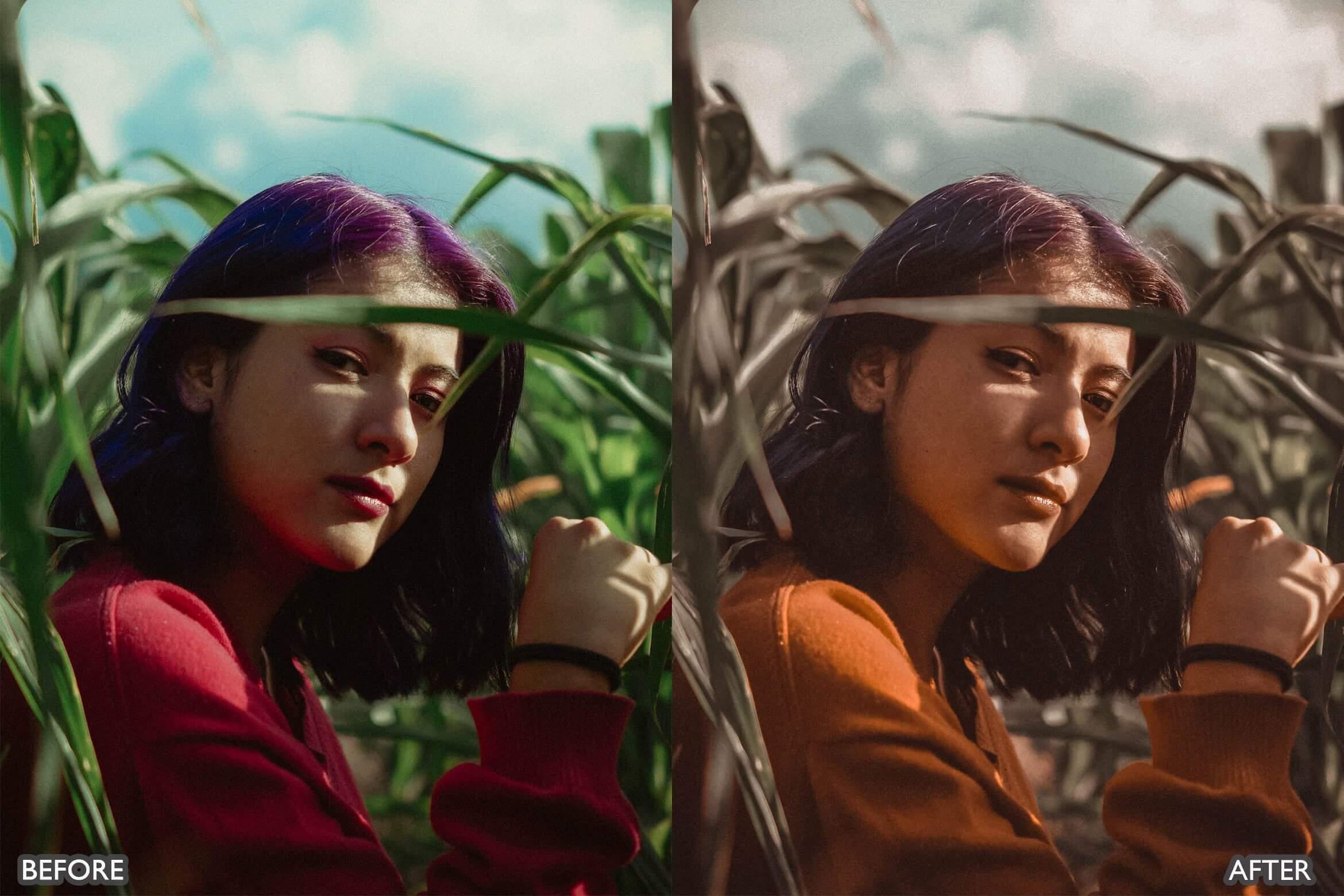 Moody Brown Lightroom Presets - Lightroom Presets - by AAA Presets