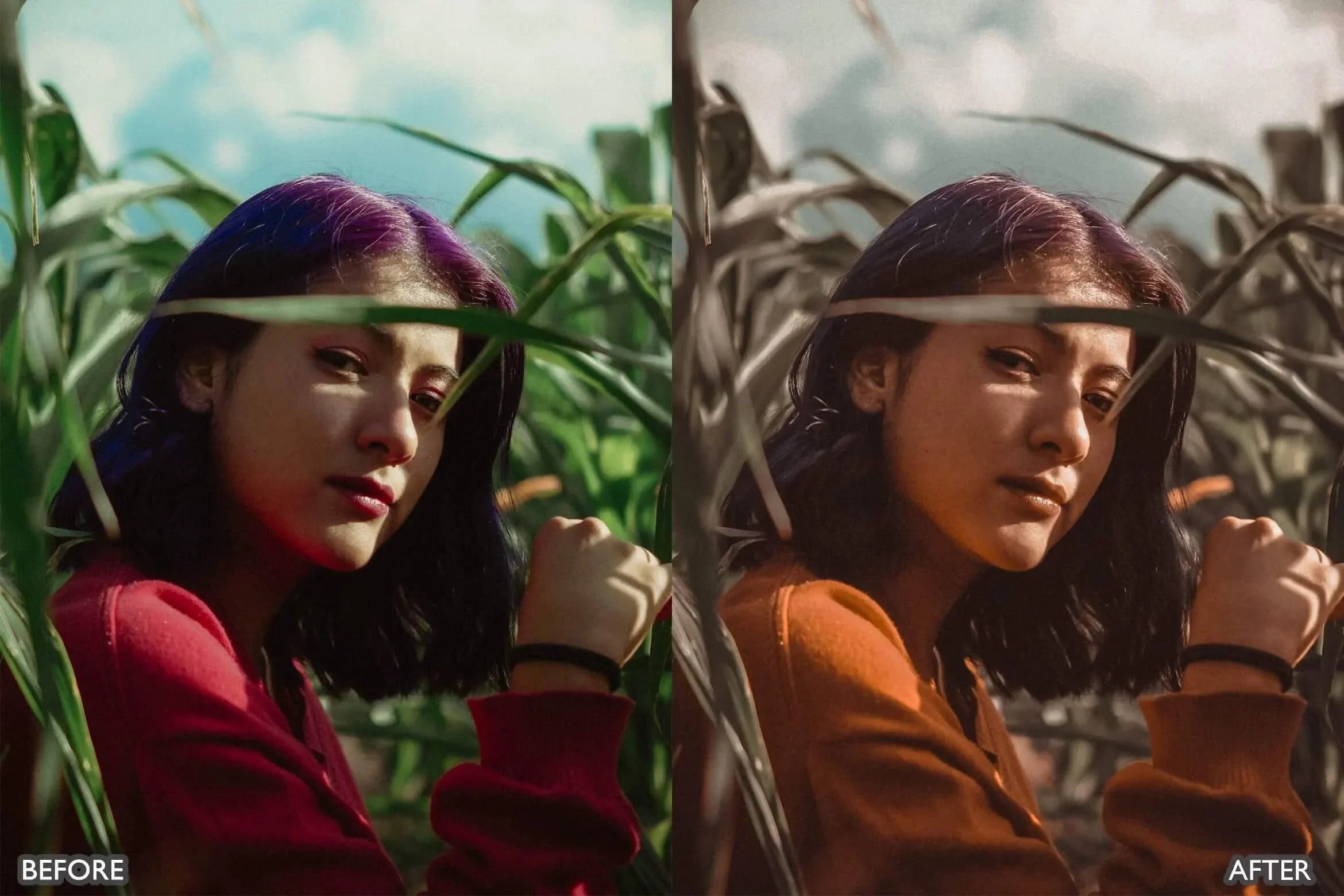 Moody Brown Lightroom Presets - Lightroom Presets - by AAA Presets