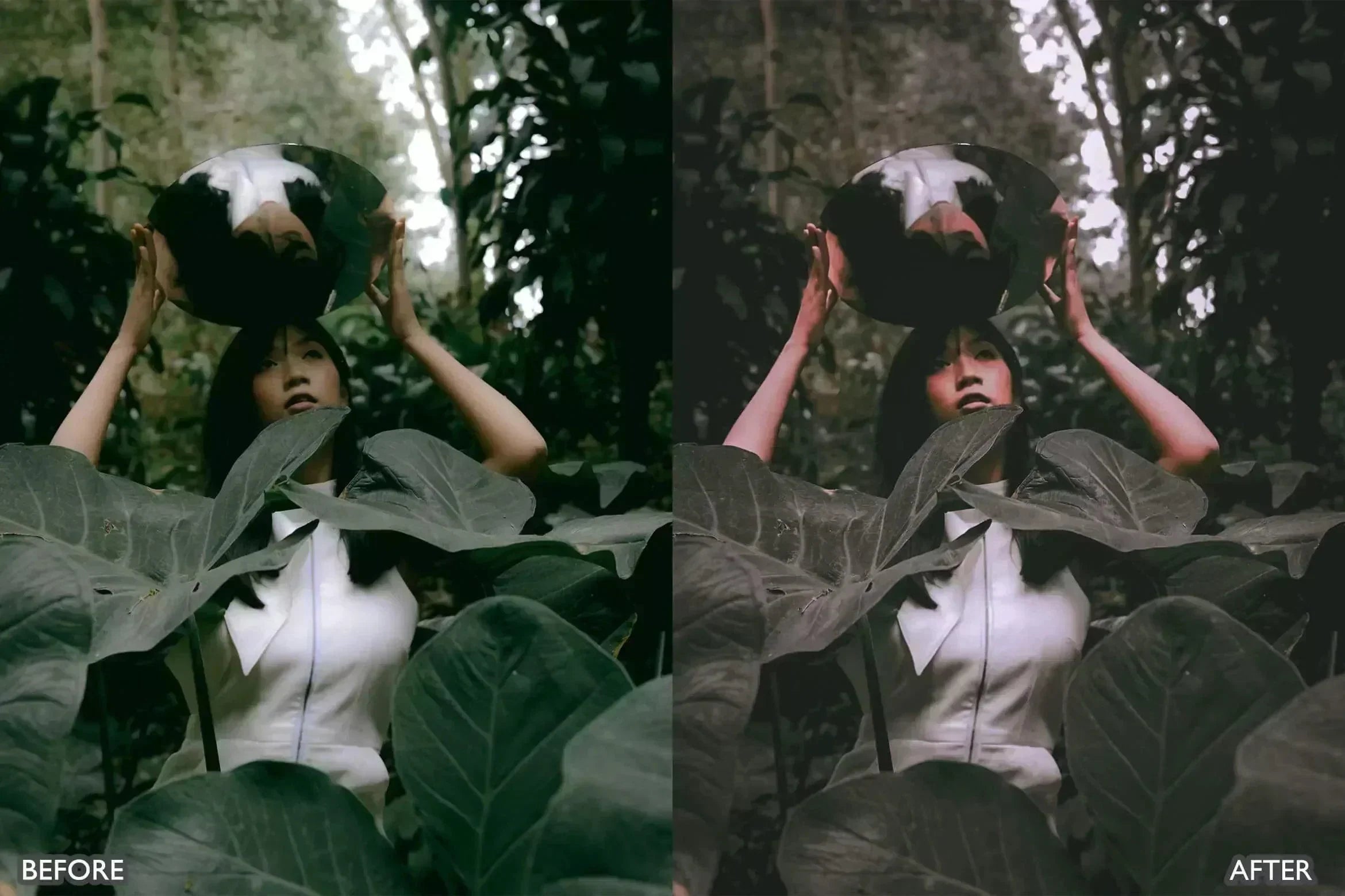 Moody Dark Green Lightroom Presets - Lightroom Presets - by AAA Presets