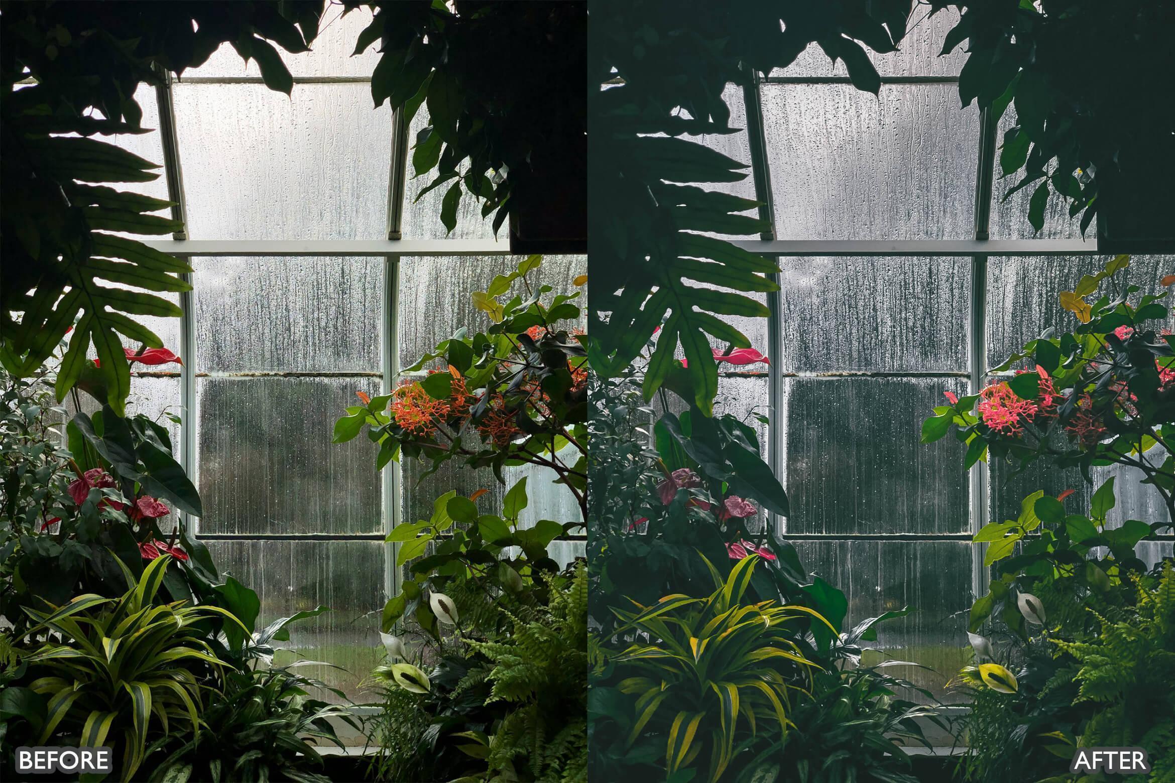 Moody Dark Green Lightroom Presets - Lightroom Presets - by AAA Presets