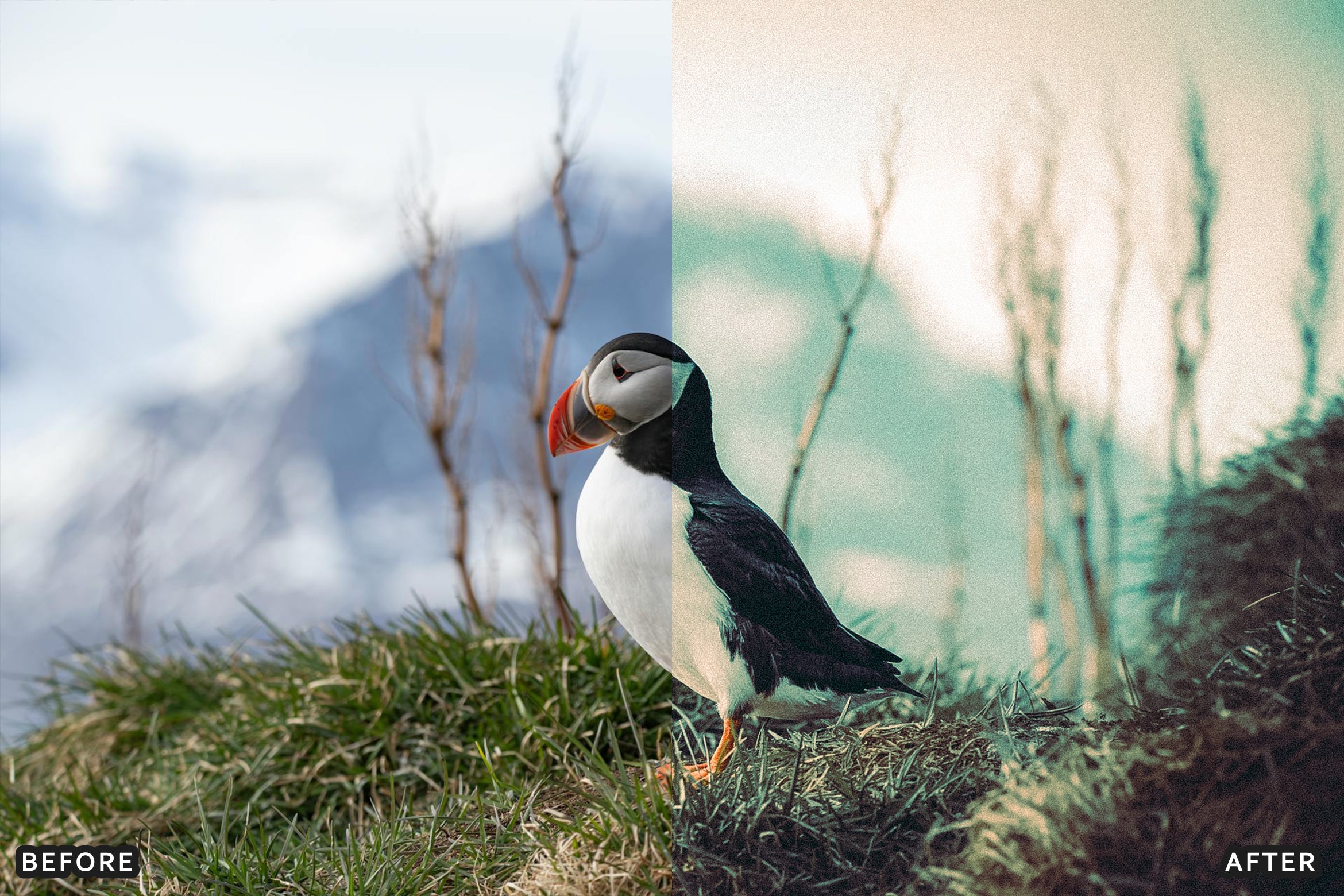 AI-Optimized Warm Vintage Film Tone Lightroom Presets - Lightroom Presets - by AAA Presets