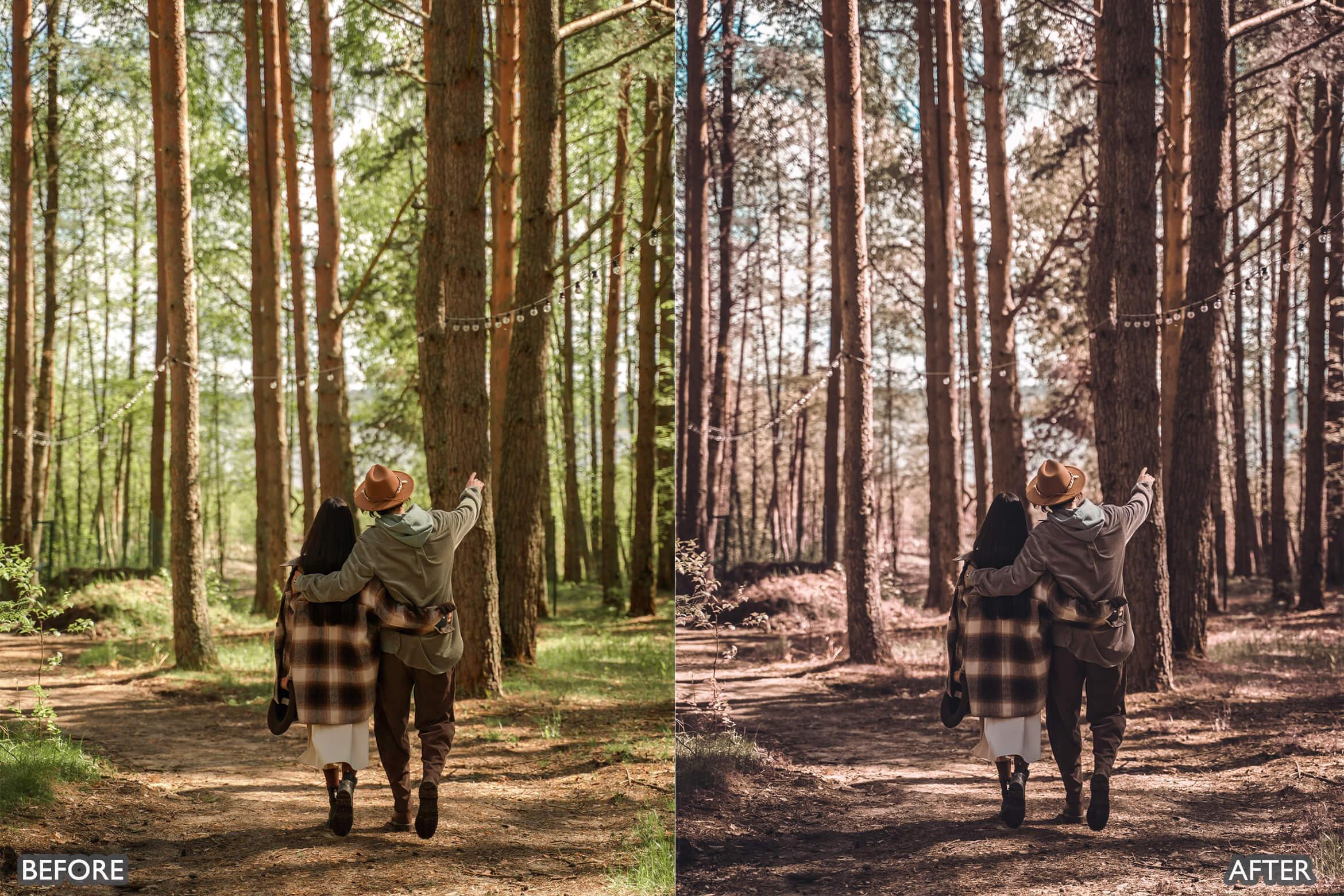Nature Warm Brown Lightroom Presets - Lightroom Presets - by AAA Presets
