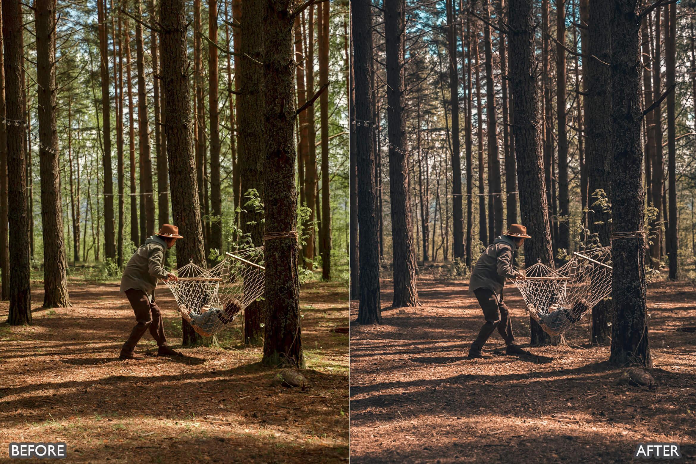 Nature Warm Brown Lightroom Presets - Lightroom Presets - by AAA Presets