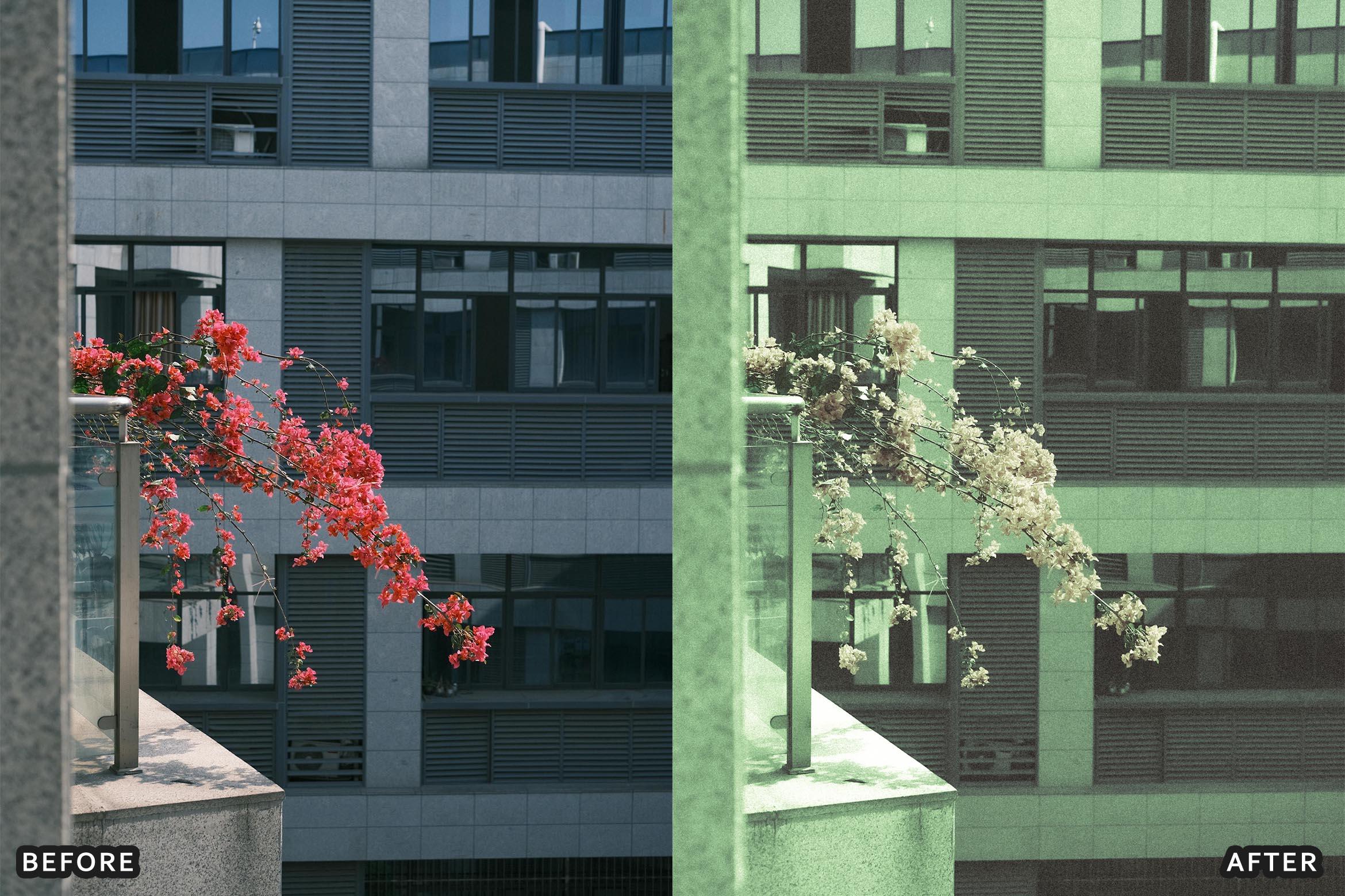 New Era Black and White Lightroom Presets - Lightroom Presets - by AAA Presets