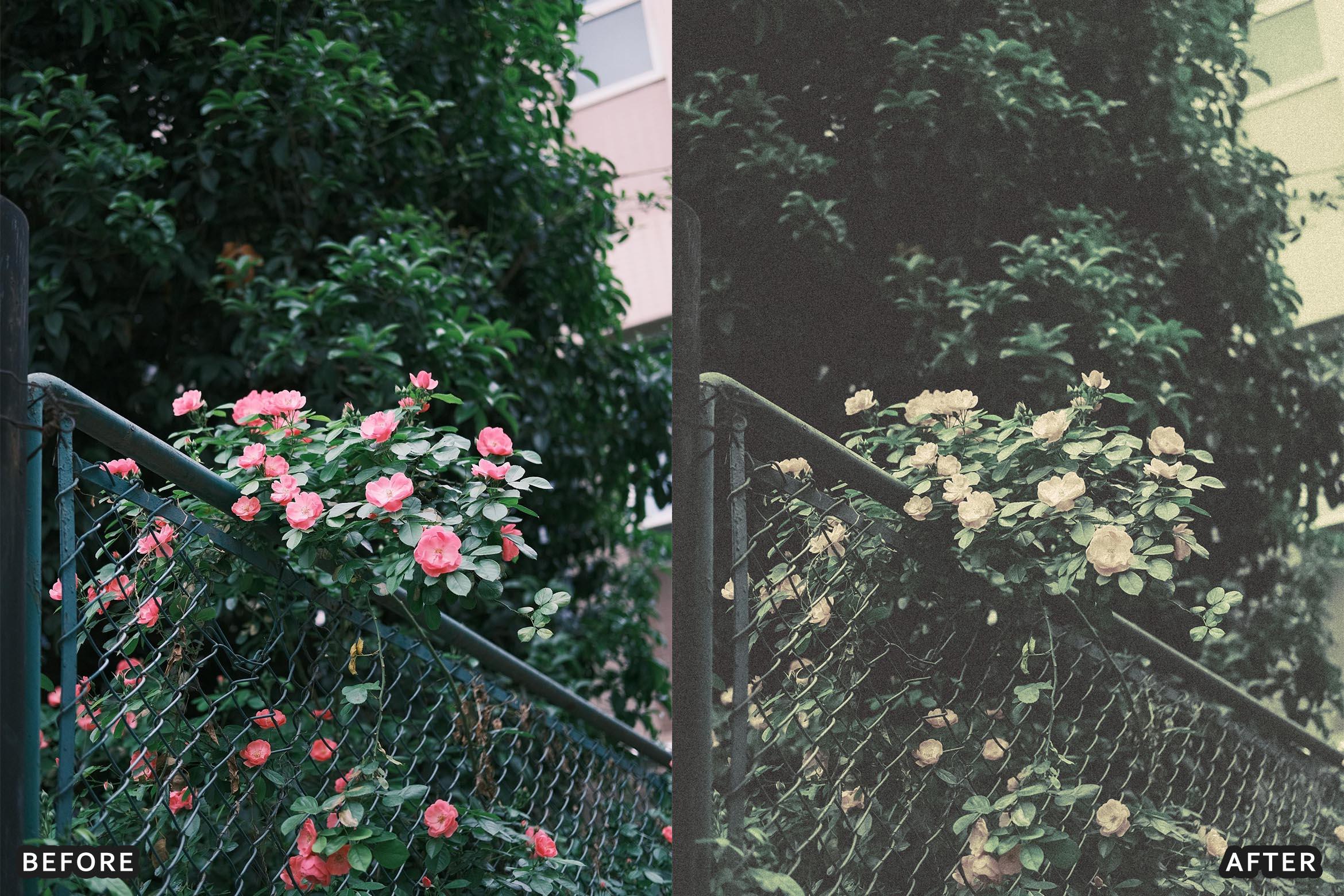 New Era Black and White Lightroom Presets - Lightroom Presets - by AAA Presets