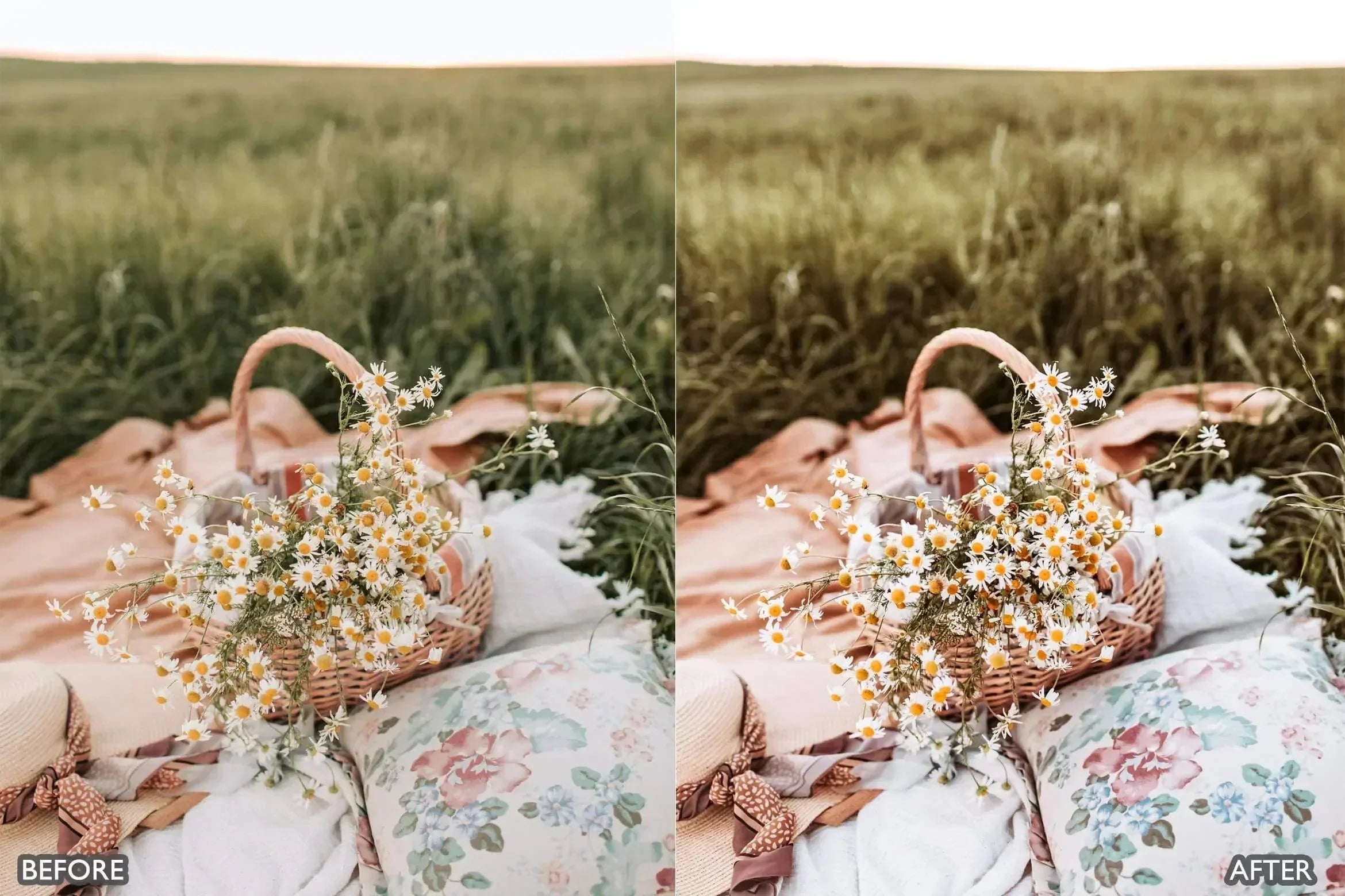 Picnic Outdoor Lightroom Presets - Lightroom Presets - by AAA Presets