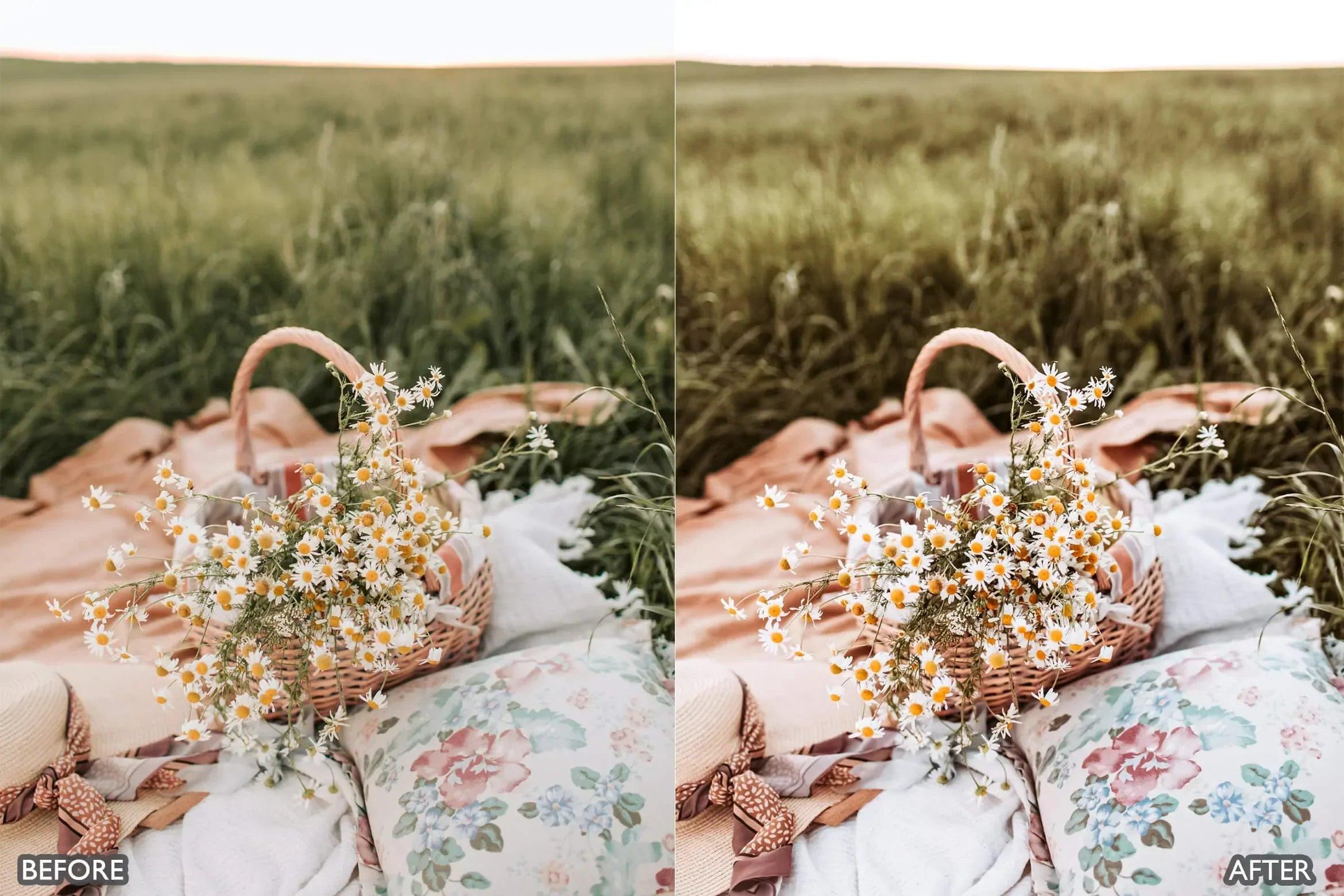 Picnic Outdoor Lightroom Presets - Lightroom Presets - by AAA Presets