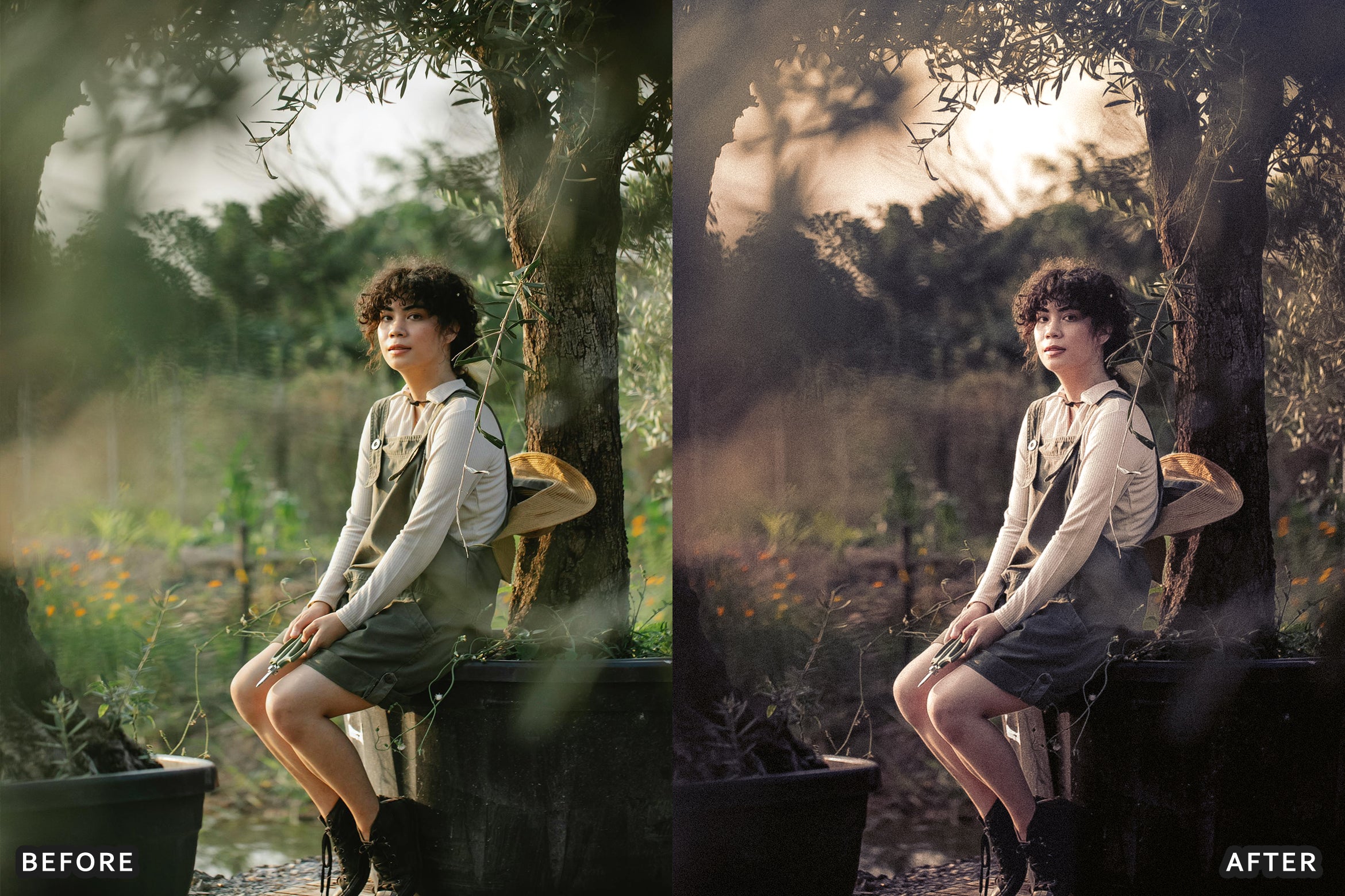 AI-Optimized Pink Haze Film Tone Lightroom Presets - Lightroom Presets - by AAA Presets