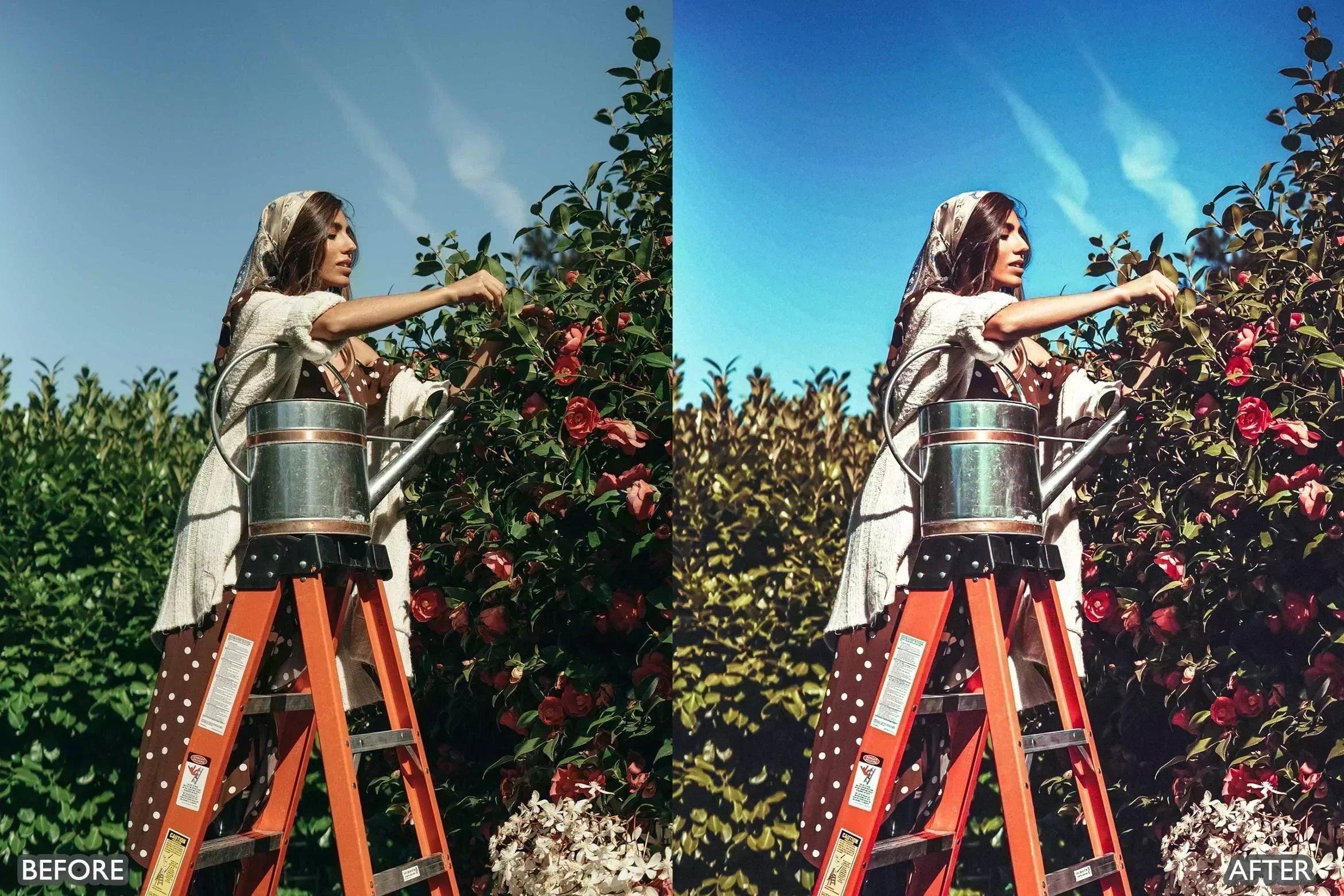 Rustic Nature Look Lightroom Presets - Lightroom Presets - by AAA Presets