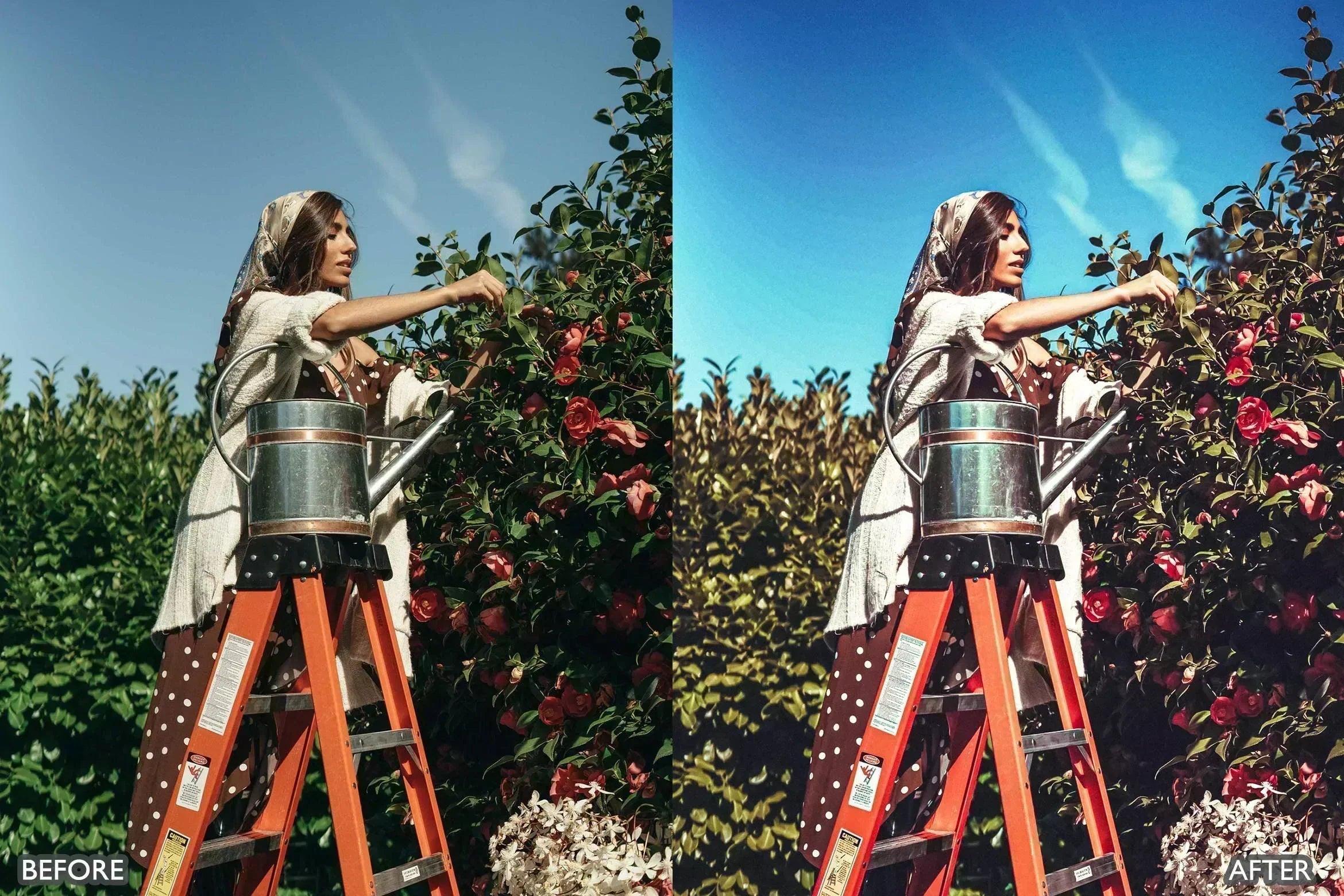 Rustic Nature Look Lightroom Presets - Lightroom Presets - by AAA Presets