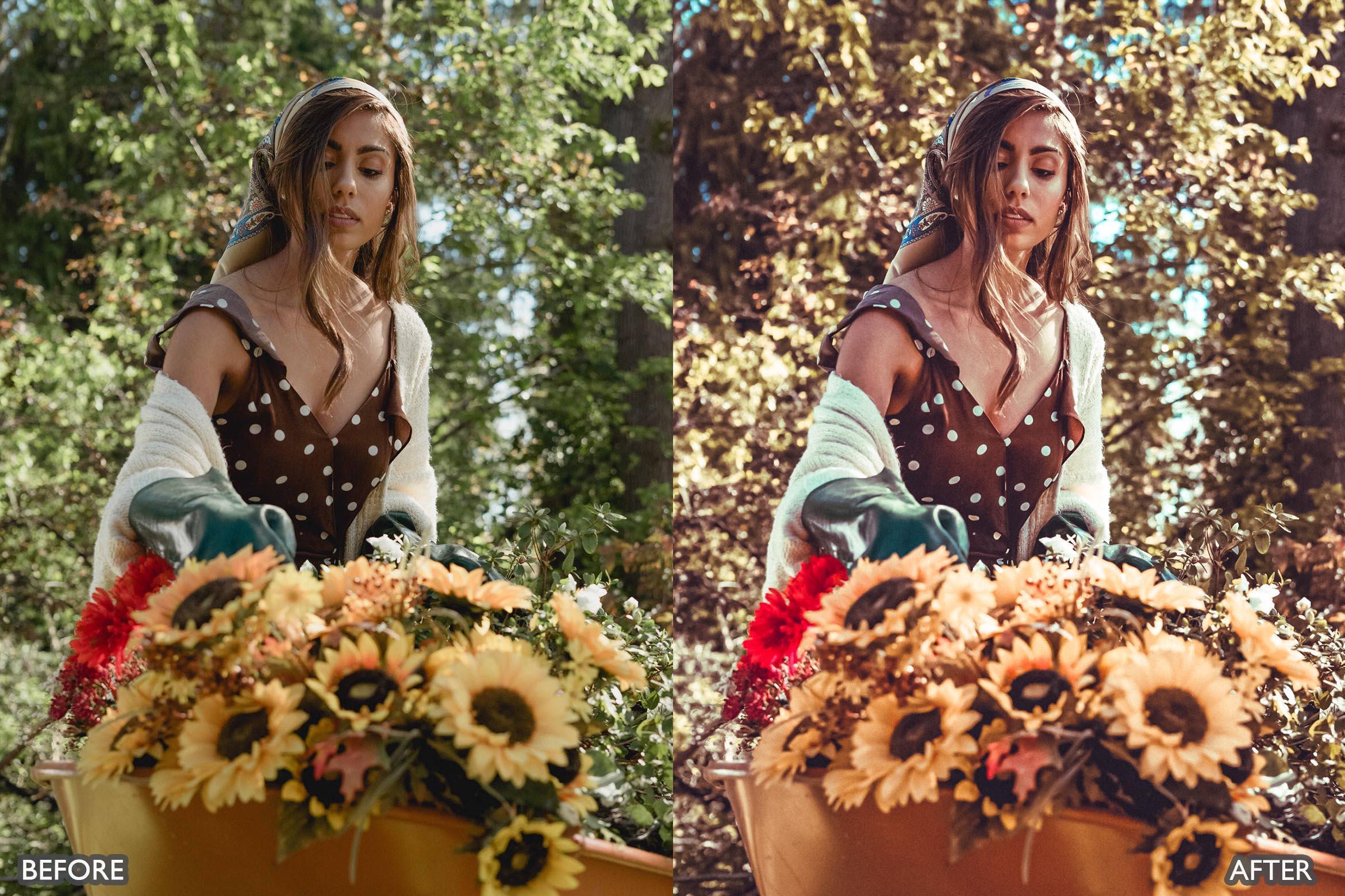 Rustic Nature Look Lightroom Presets - Lightroom Presets - by AAA Presets