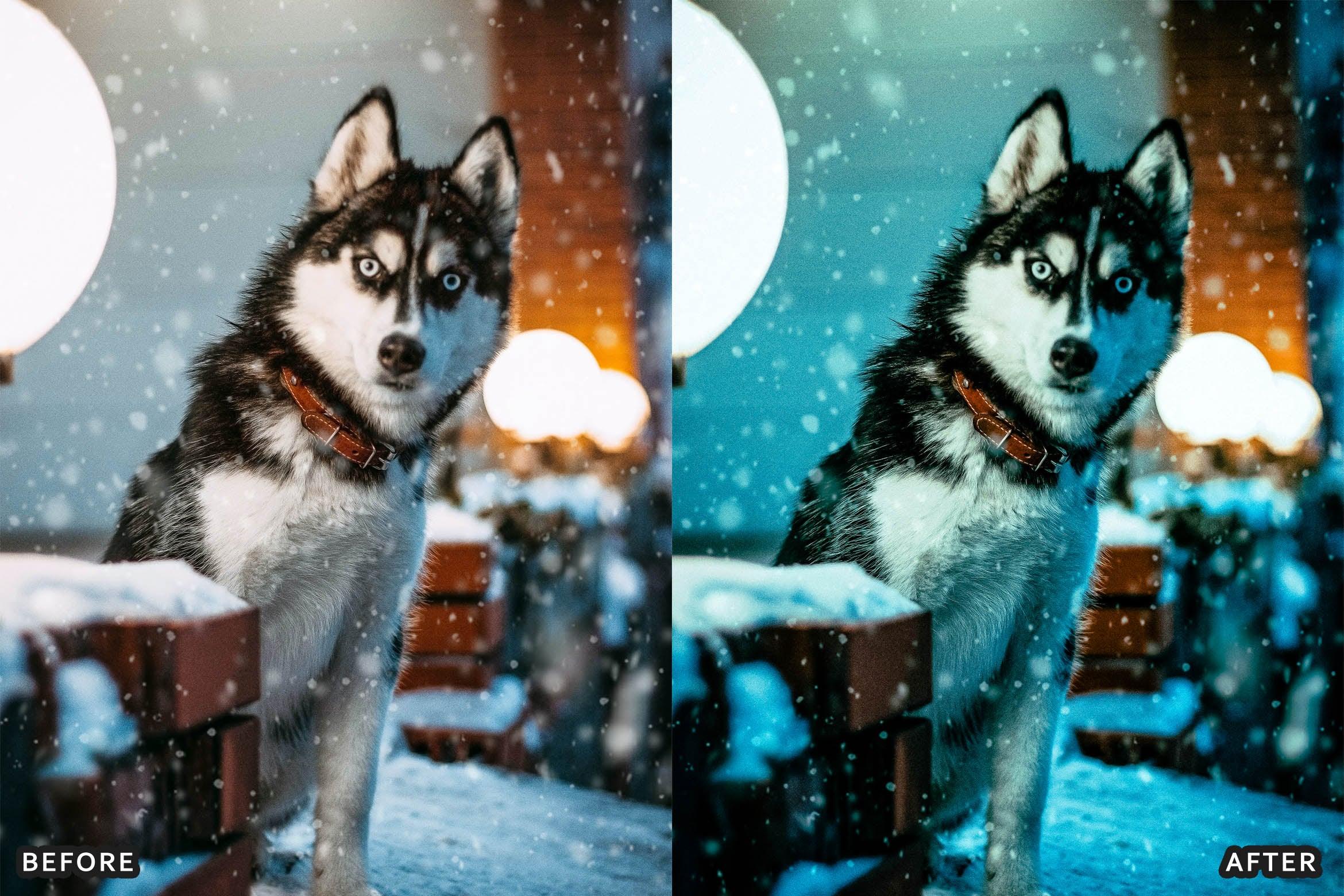 Snow & Winter Presets for Lightroom - Lightroom Presets - by AAA Presets