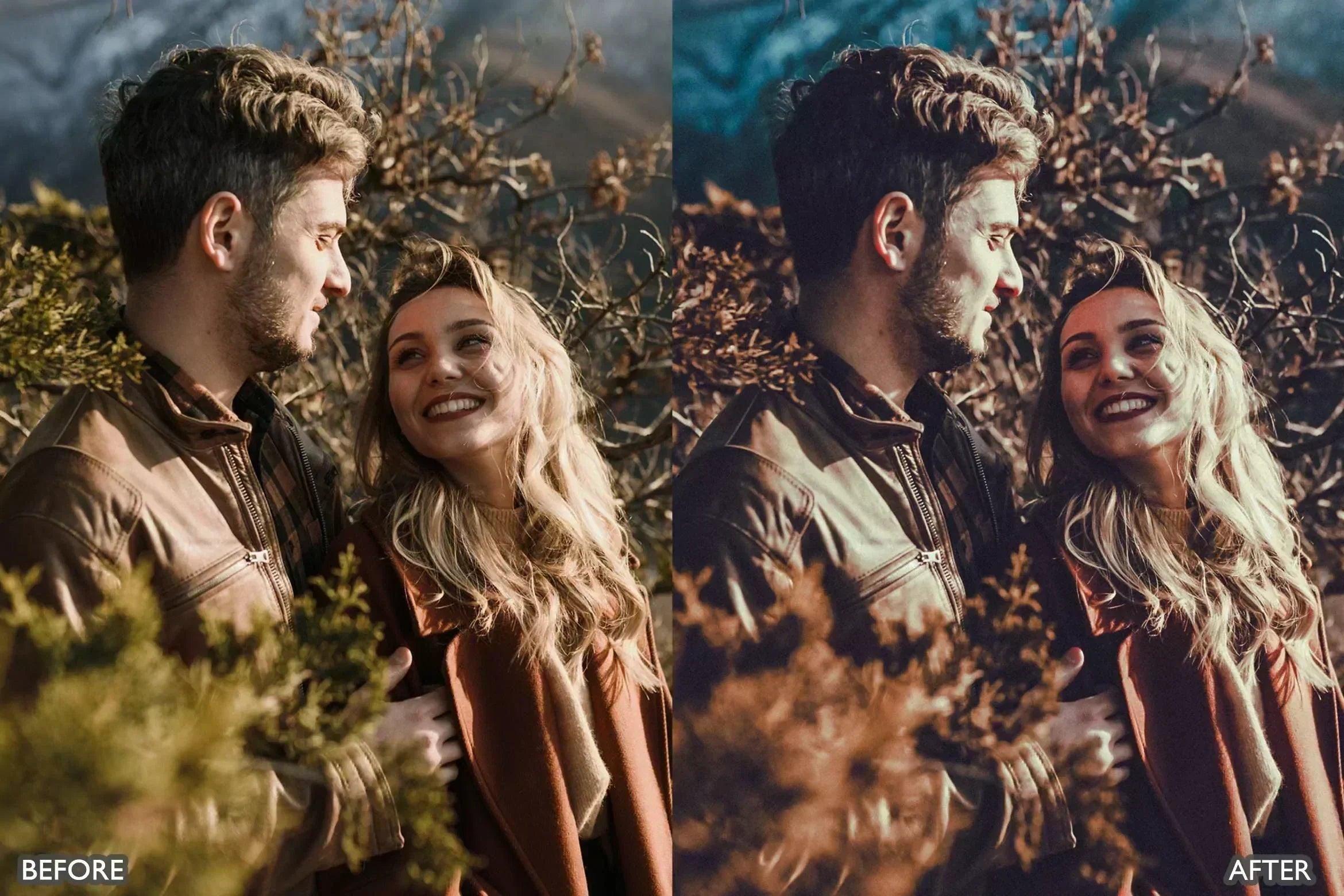 Spring Moody Brown Lightroom presets - Lightroom Presets - by AAA Presets