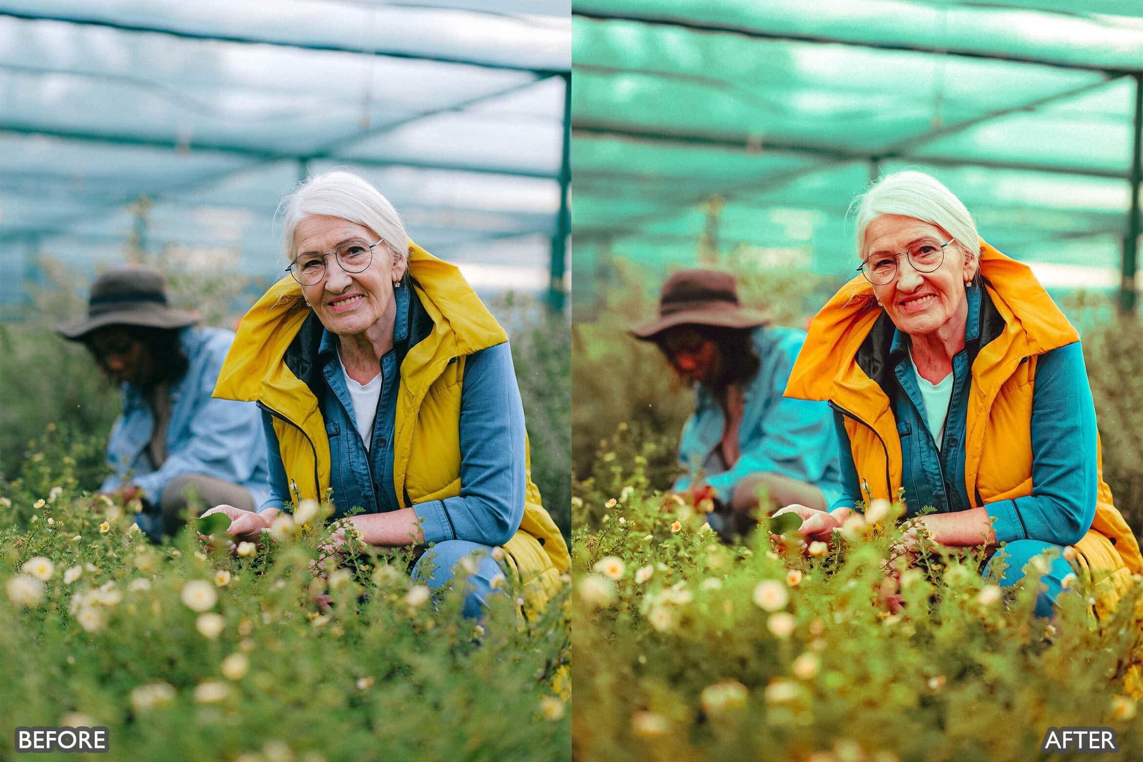 Steal Film Cinematic Look Lightroom Presets - Lightroom Presets - by AAA Presets