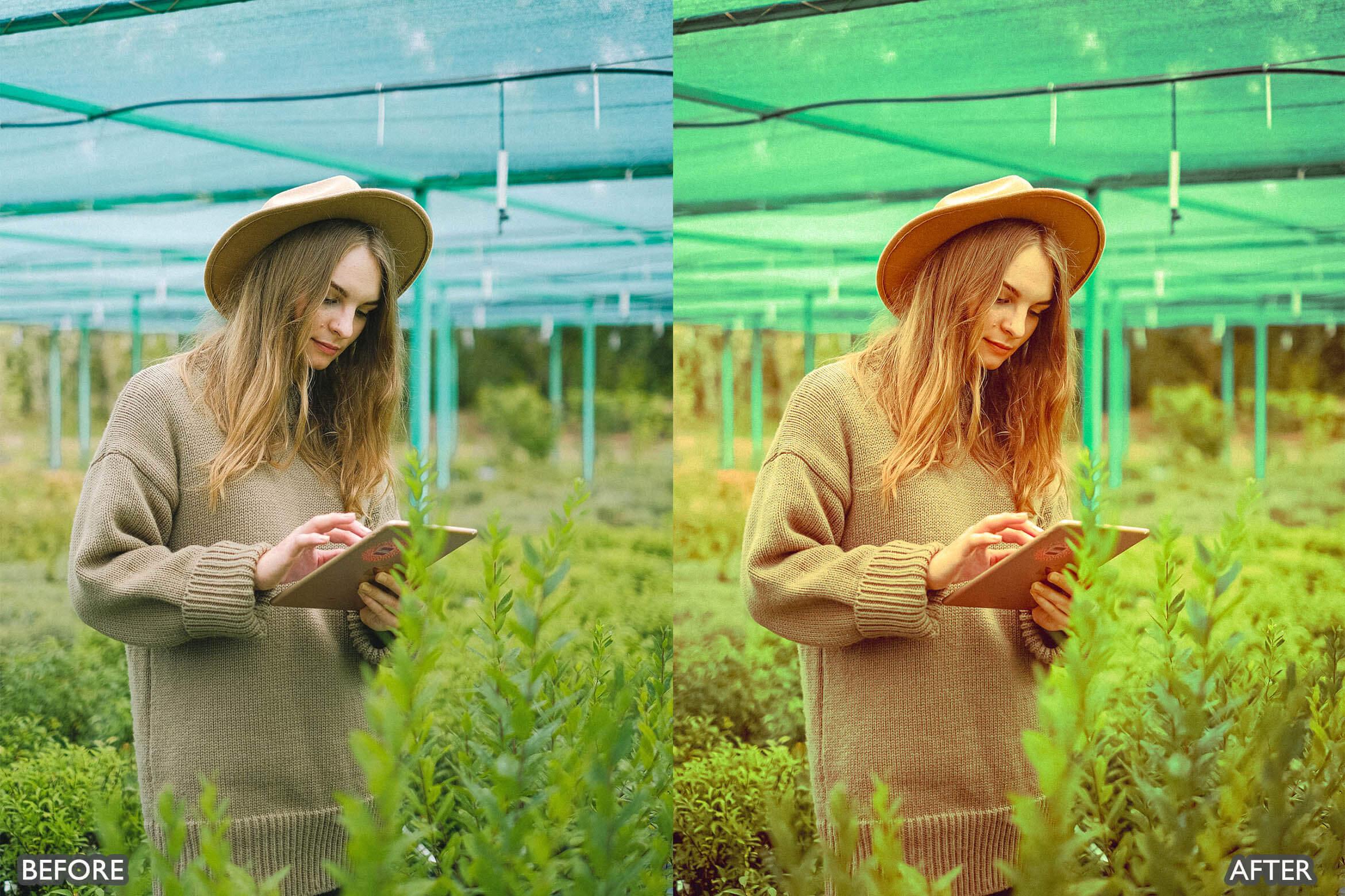 Steal Film Cinematic Look Lightroom Presets - Lightroom Presets - by AAA Presets