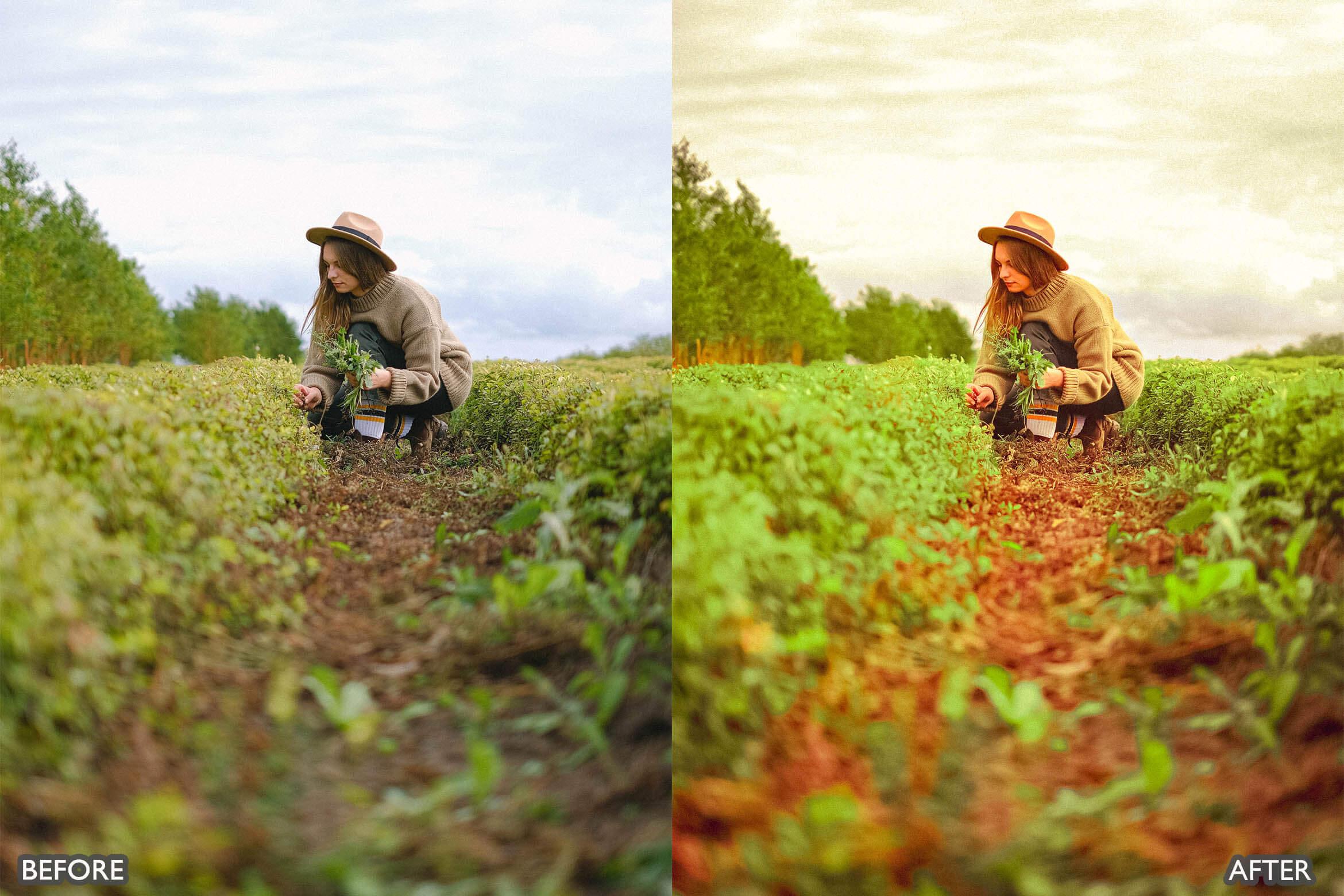 Steal Film Cinematic Look Lightroom Presets - Lightroom Presets - by AAA Presets