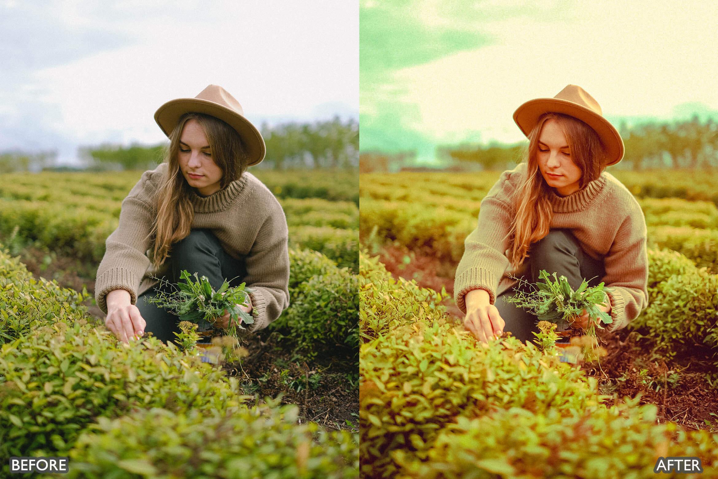 Steal Film Cinematic Look Lightroom Presets - Lightroom Presets - by AAA Presets