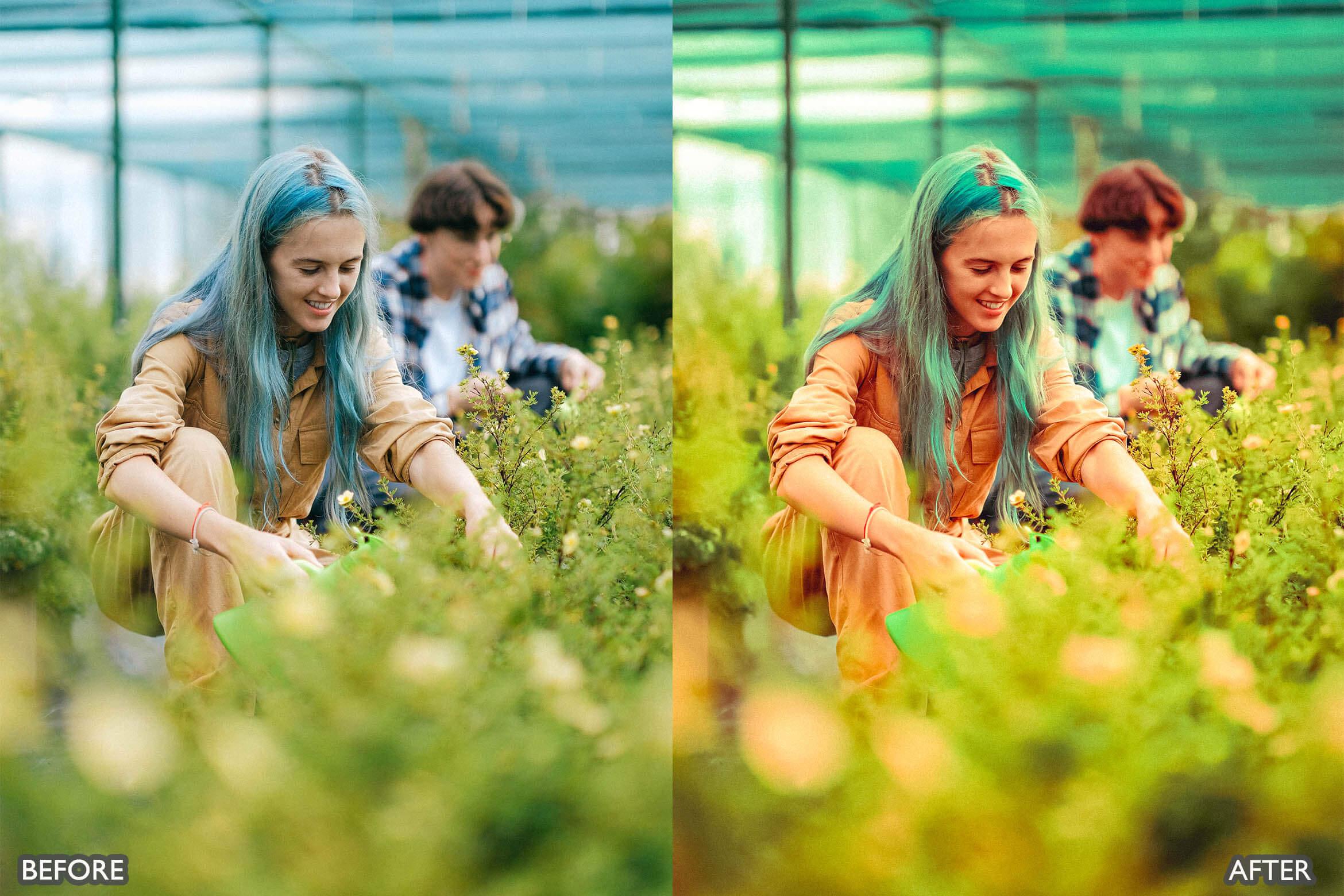 Steal Film Cinematic Look Lightroom Presets - Lightroom Presets - by AAA Presets