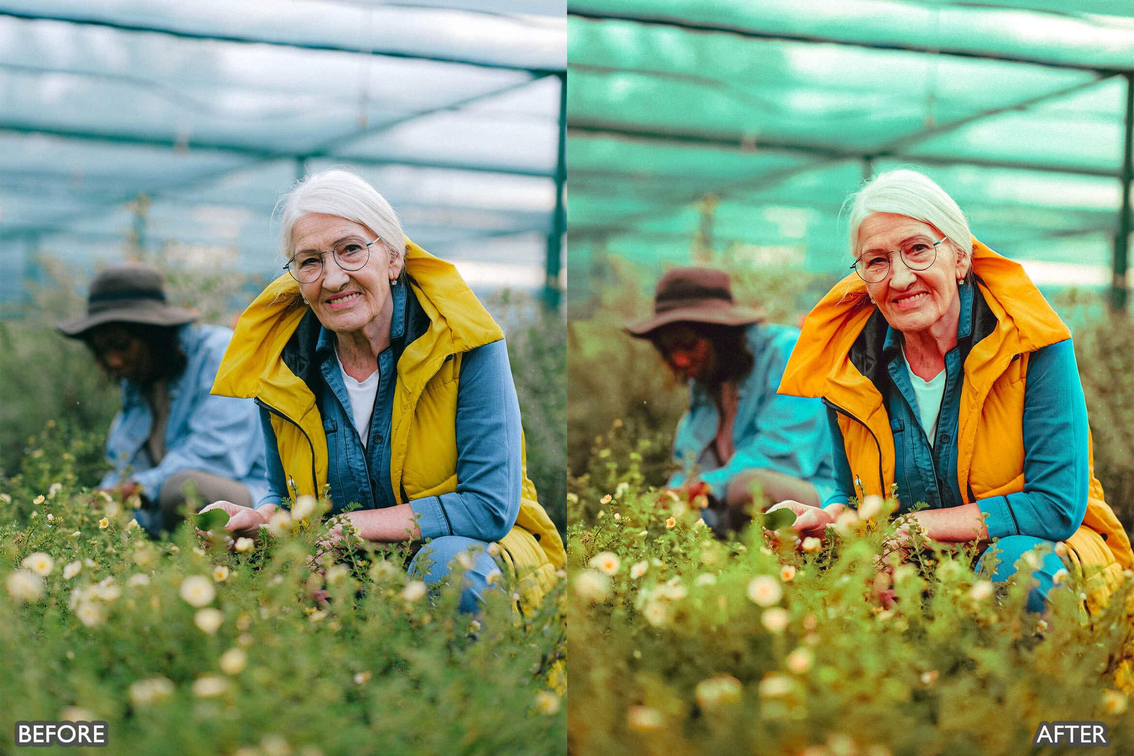 Steal Film Cinematic Look Lightroom Presets - Lightroom Presets - by AAA Presets