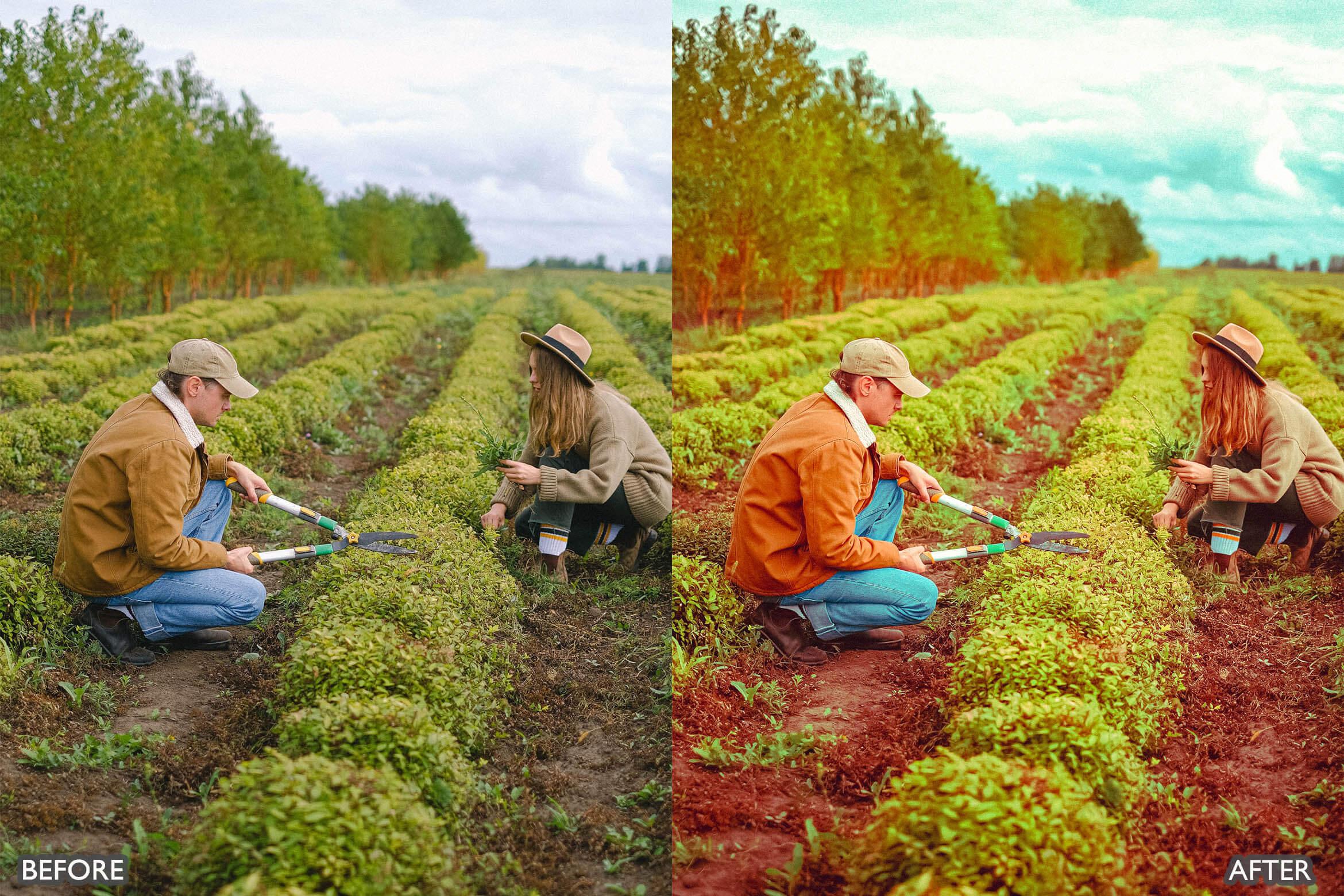 Steal Film Cinematic Look Lightroom Presets - Lightroom Presets - by AAA Presets