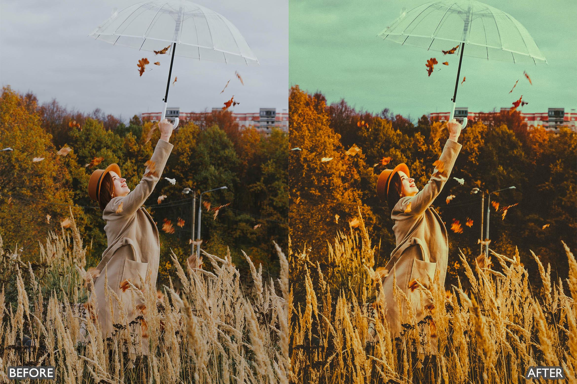The Vibrant Fall Presets For Lightroom Autumn Photos - Lightroom Presets - by AAA Presets