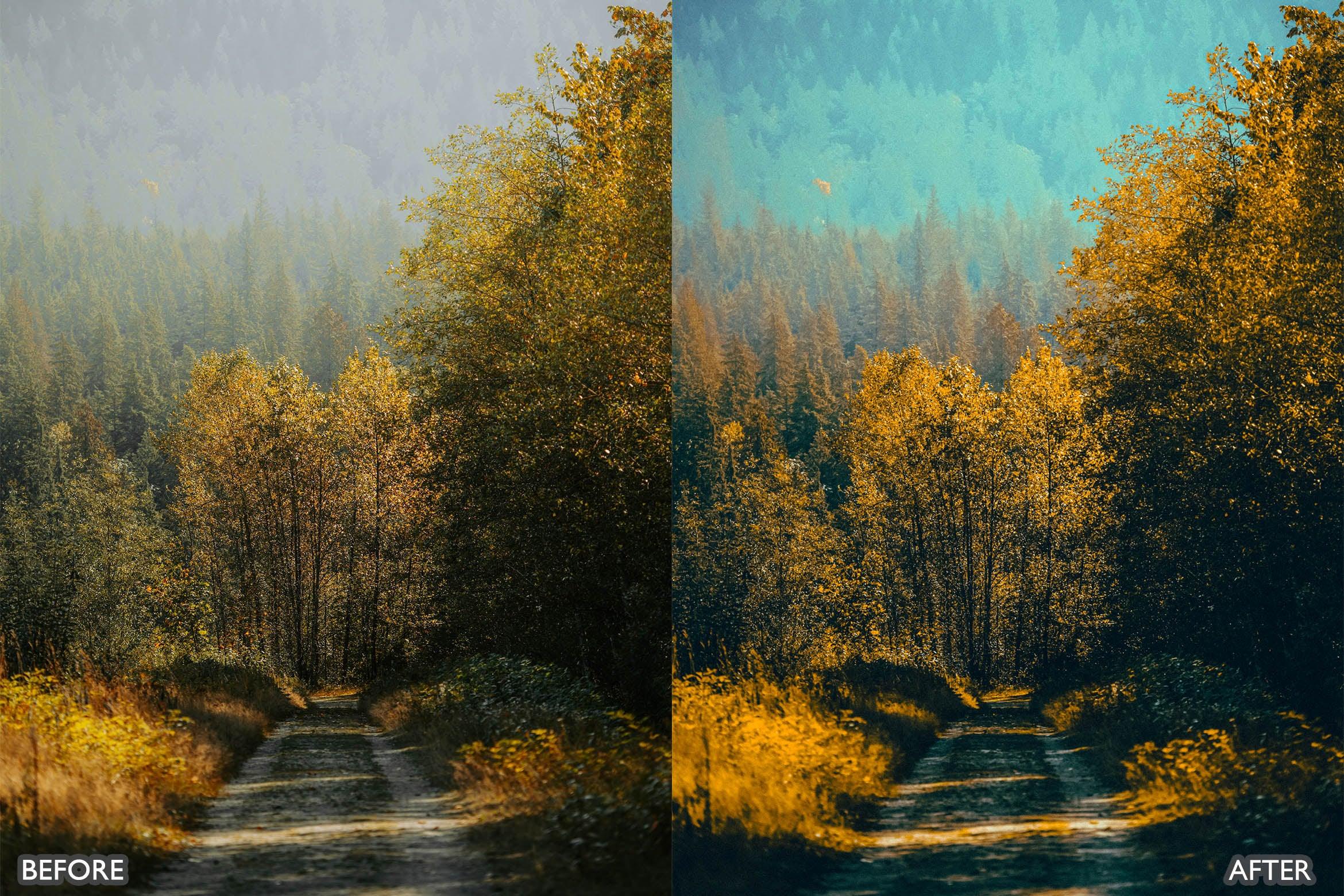 The Vibrant Fall Presets For Lightroom Autumn Photos - Lightroom Presets - by AAA Presets