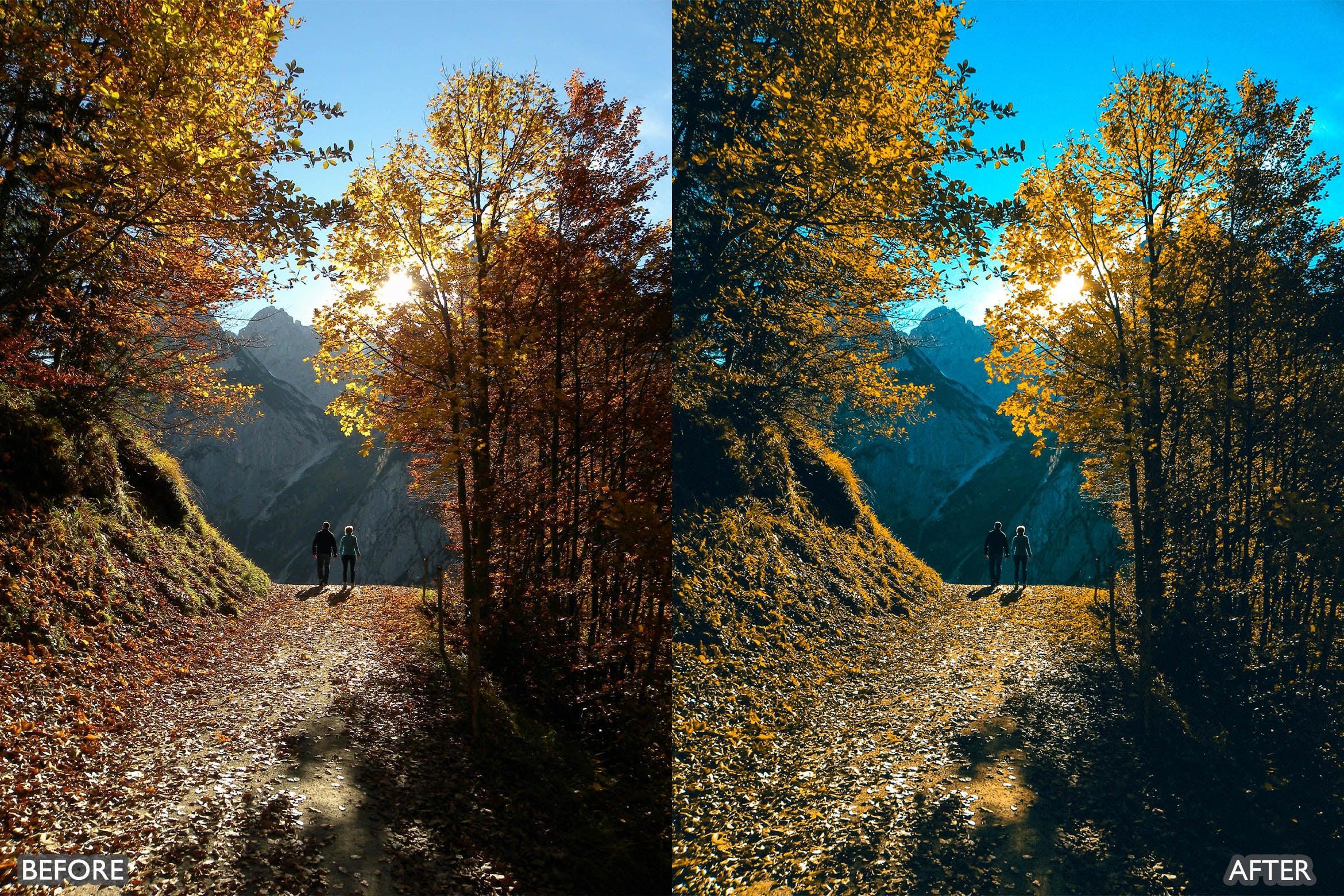 The Vibrant Fall Presets For Lightroom Autumn Photos - Lightroom Presets - by AAA Presets