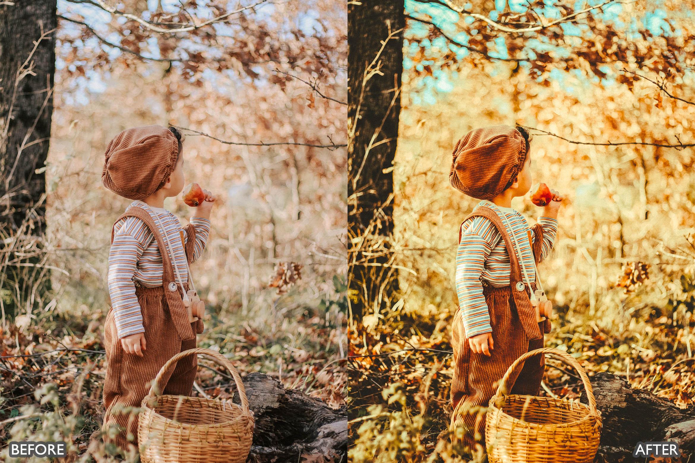 The Vibrant Fall Presets For Lightroom Autumn Photos - Lightroom Presets - by AAA Presets