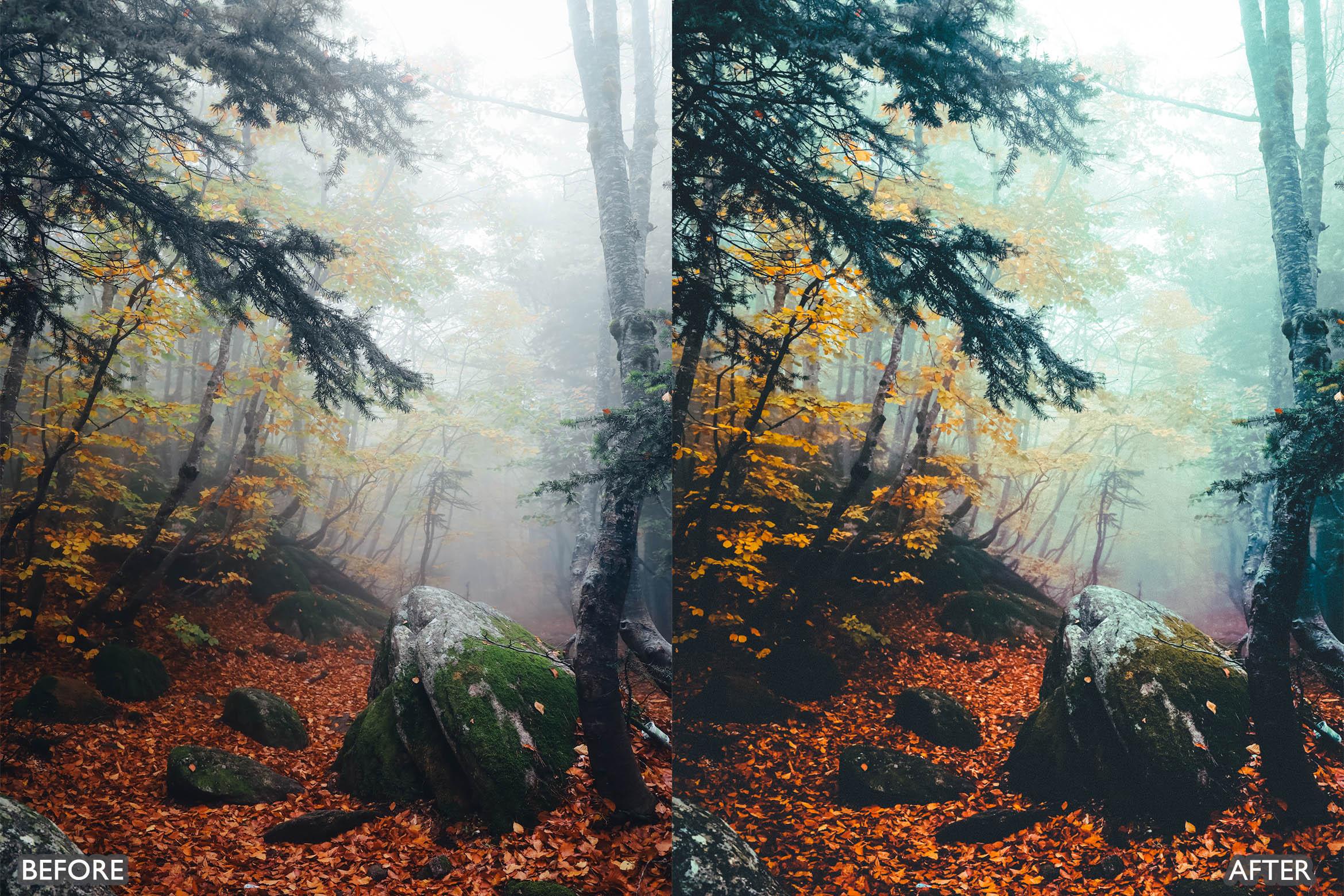 The Vibrant Fall Presets For Lightroom Autumn Photos - Lightroom Presets - by AAA Presets