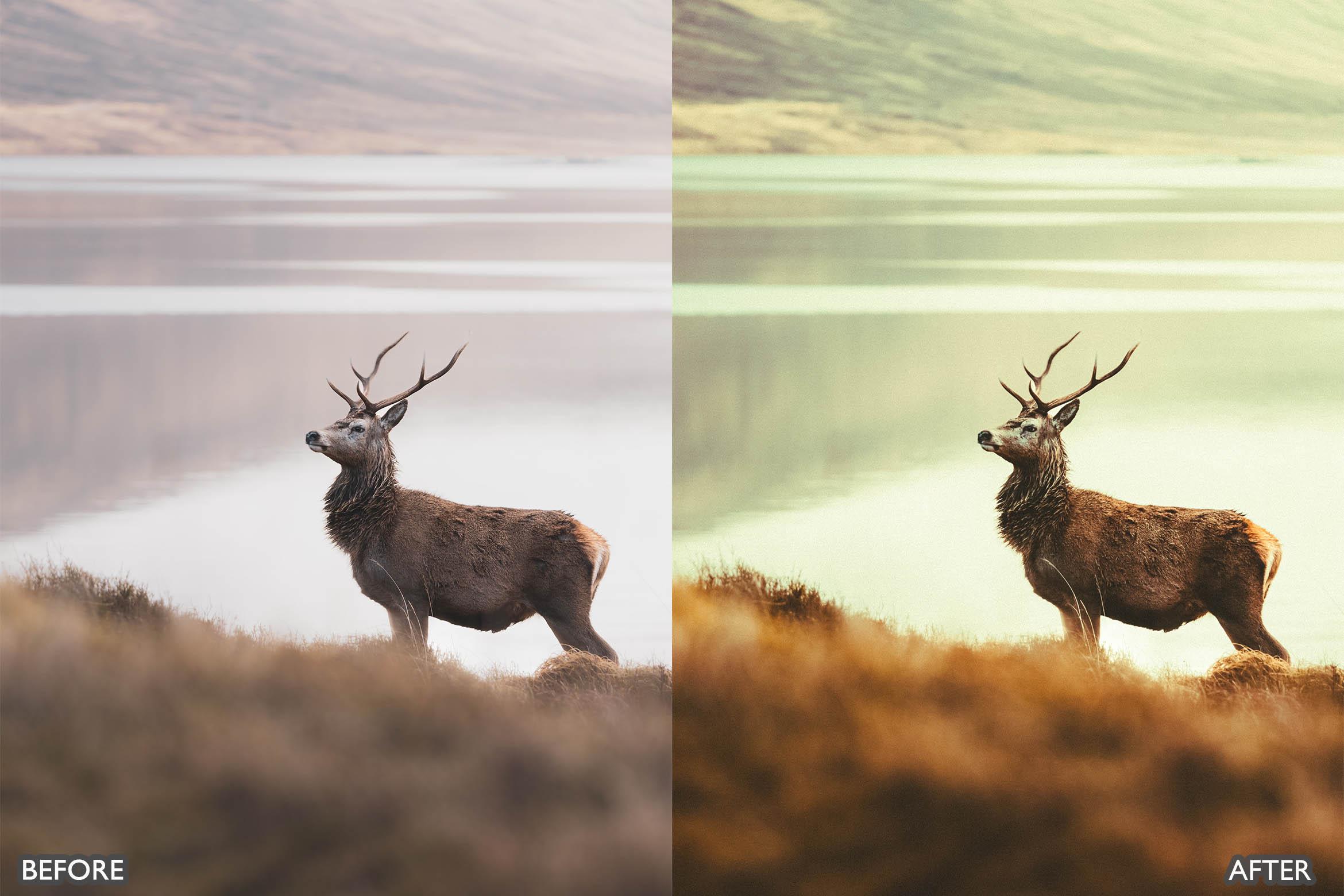 The Vibrant Fall Presets For Lightroom Autumn Photos - Lightroom Presets - by AAA Presets