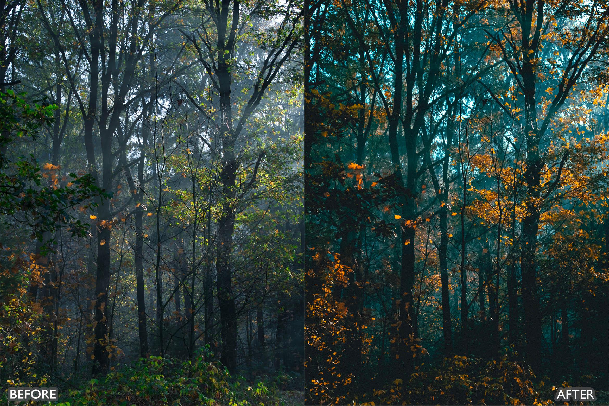 The Vibrant Fall Presets For Lightroom Autumn Photos - Lightroom Presets - by AAA Presets