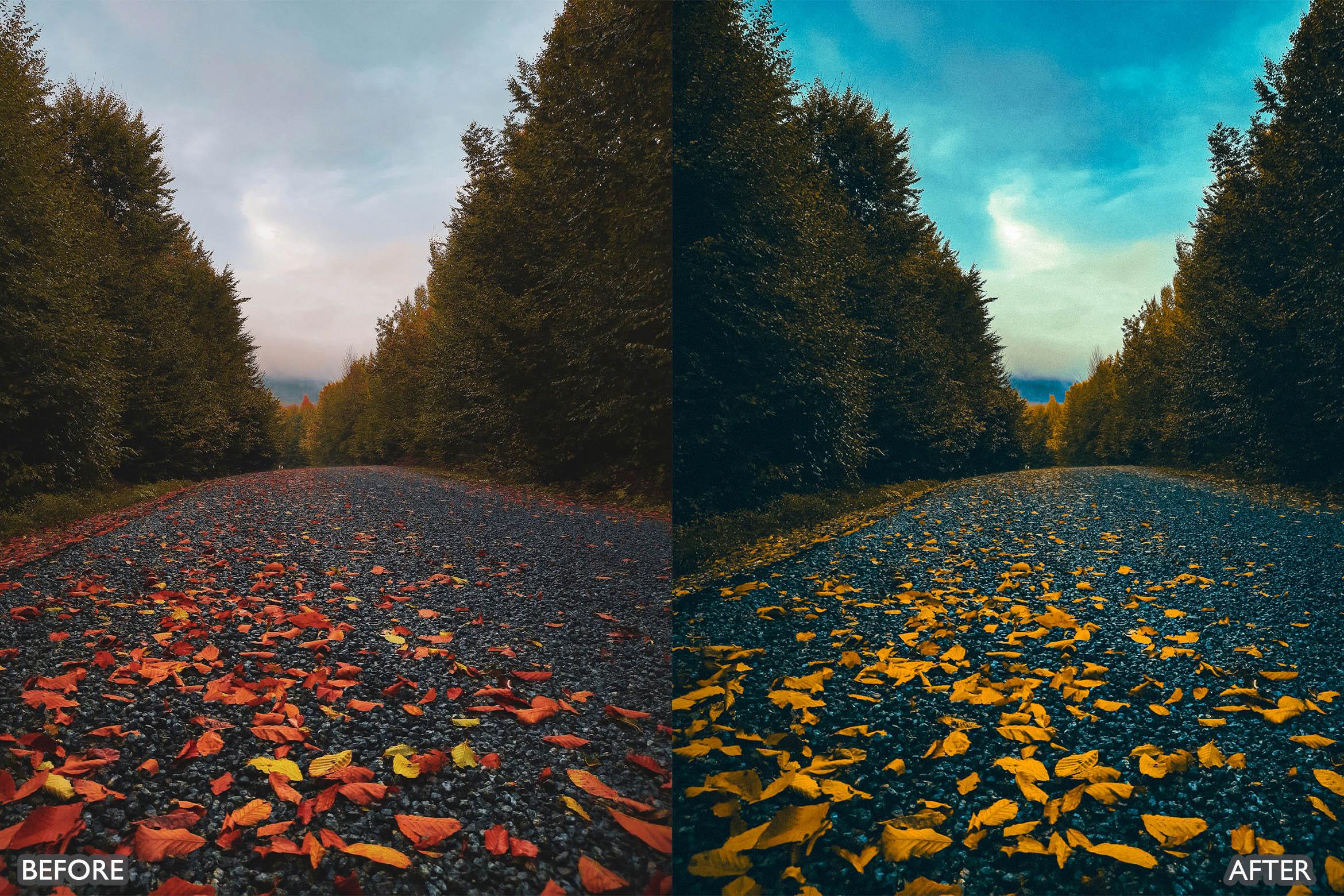 The Vibrant Fall Presets For Lightroom Autumn Photos - Lightroom Presets - by AAA Presets