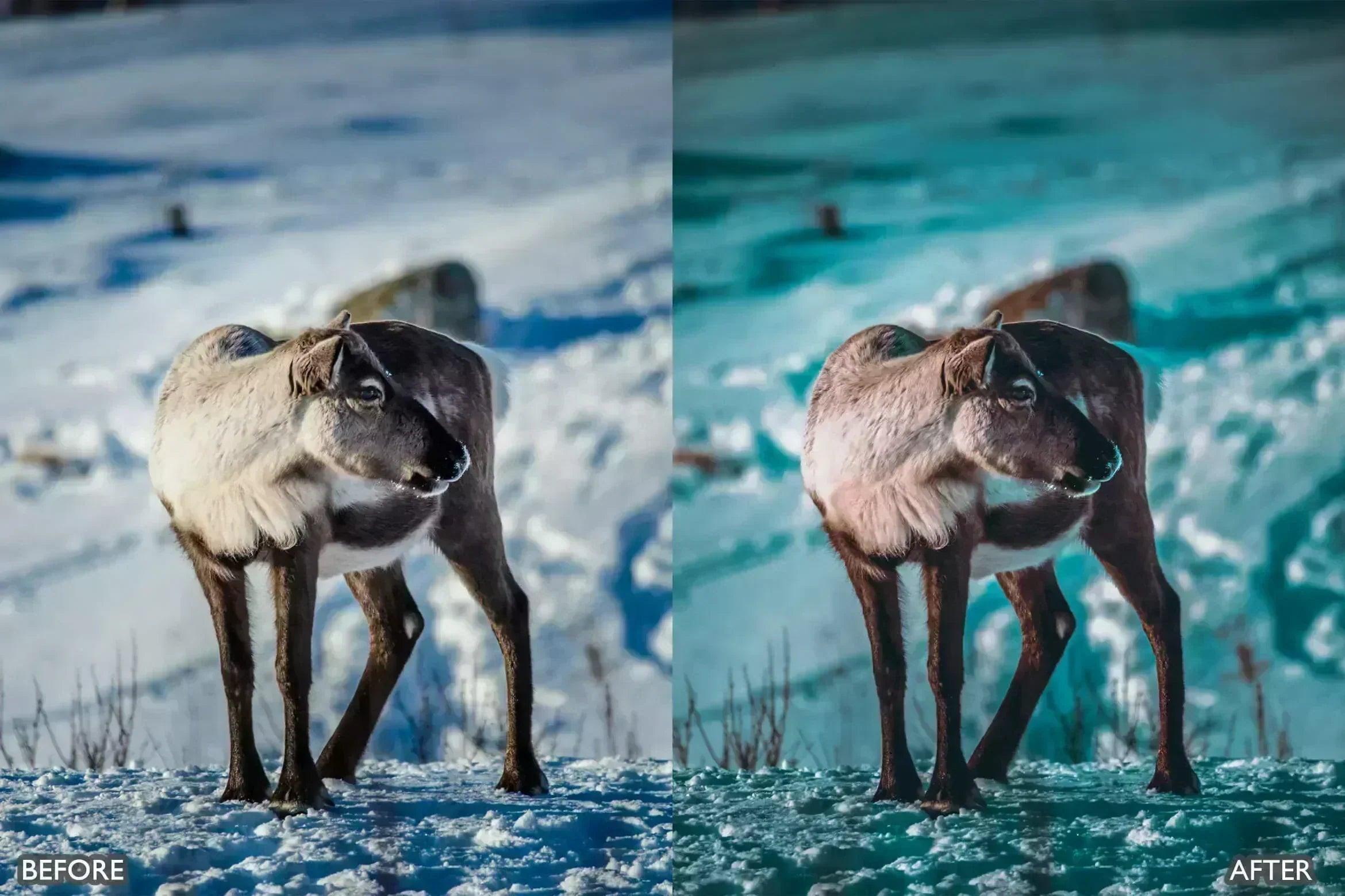 Travel Cinematic Lightroom Presets - Lightroom Presets - by AAA Presets