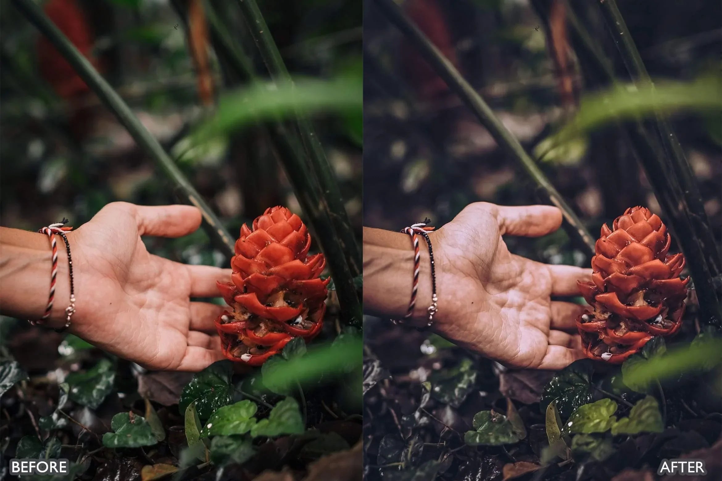 Travel Moody Photo edit Presets - Lightroom Presets - by AAA Presets